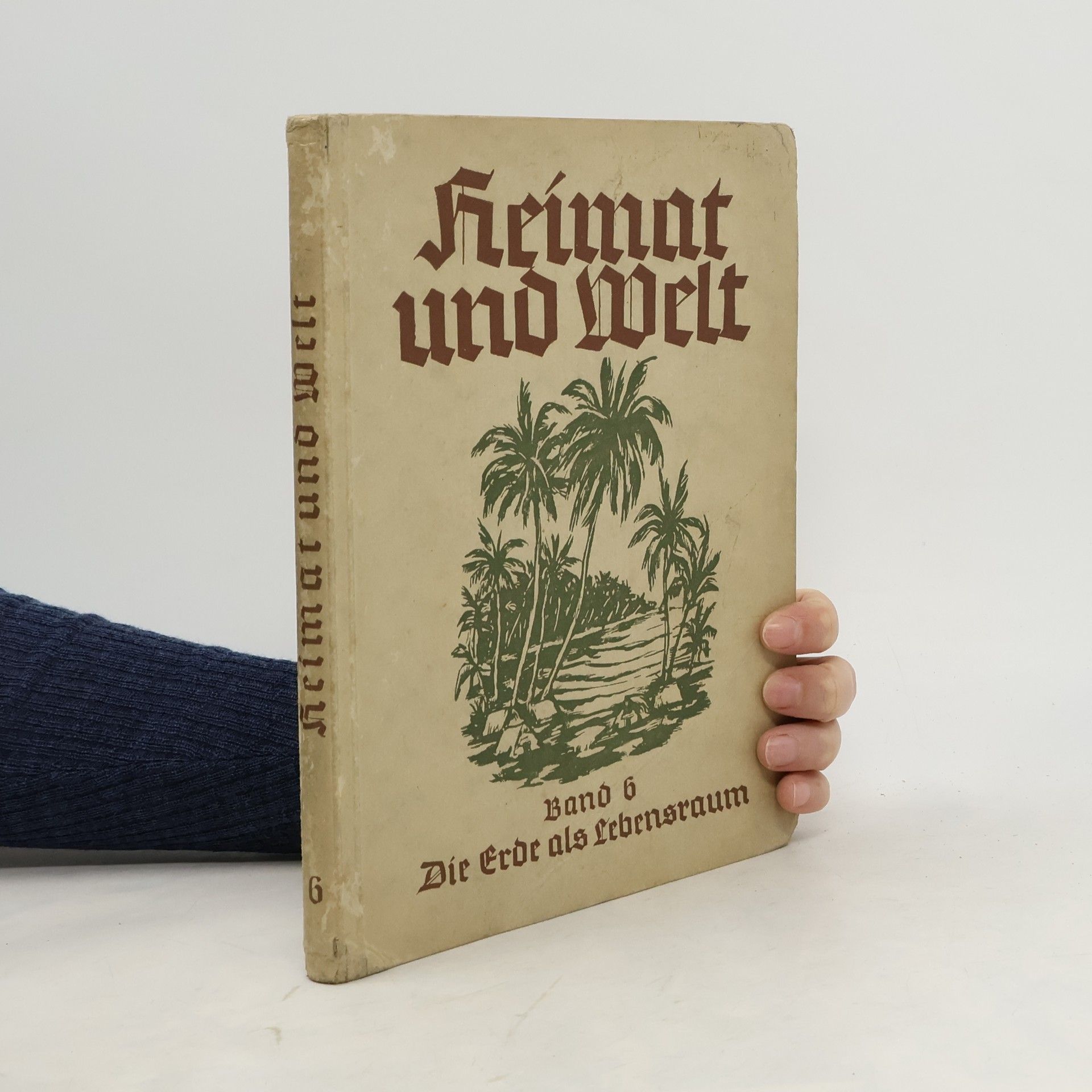 Gertrud Schneider Blum Heimat und Welt. Band 6