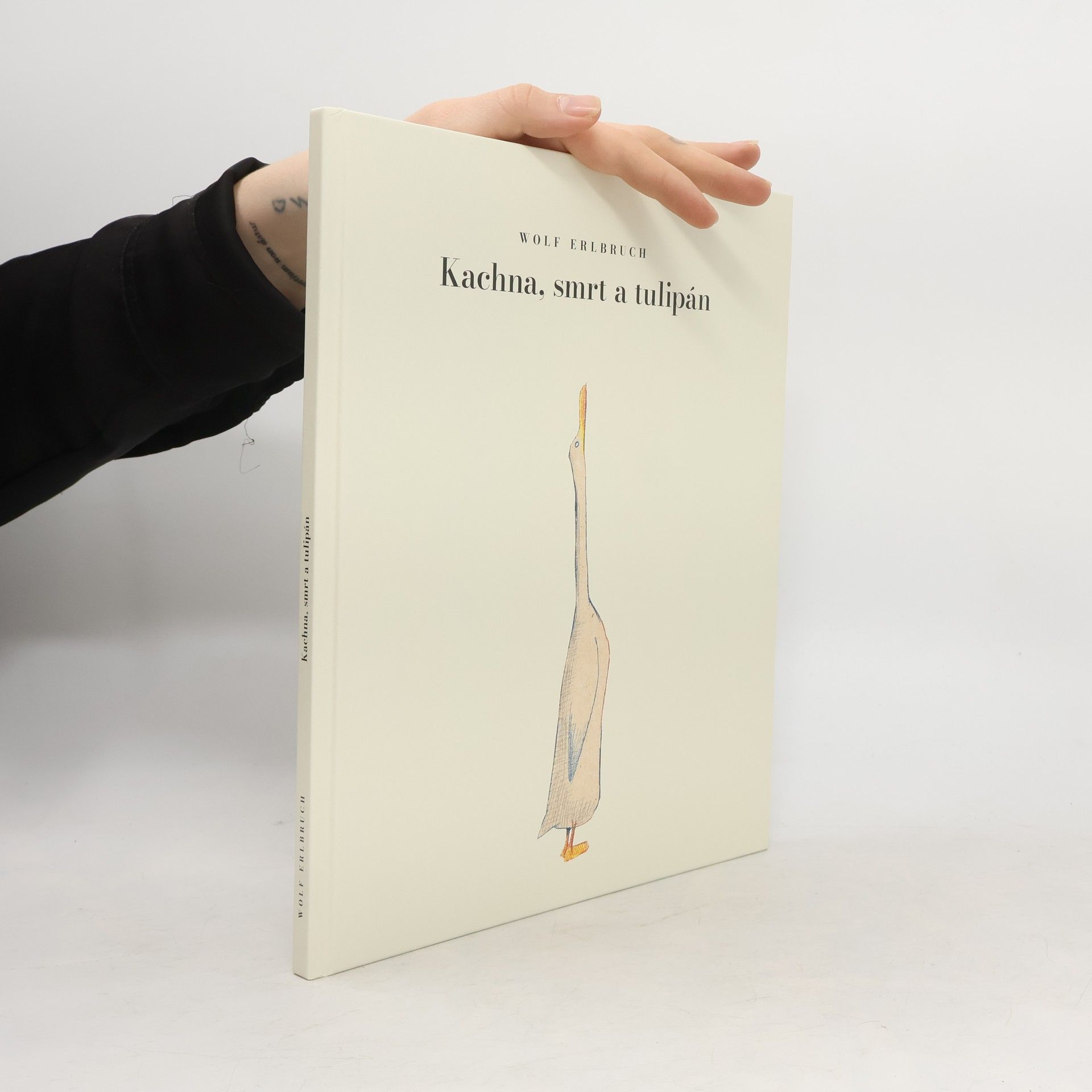 Wolf Erlbruch Kachna, smrt a tulipán