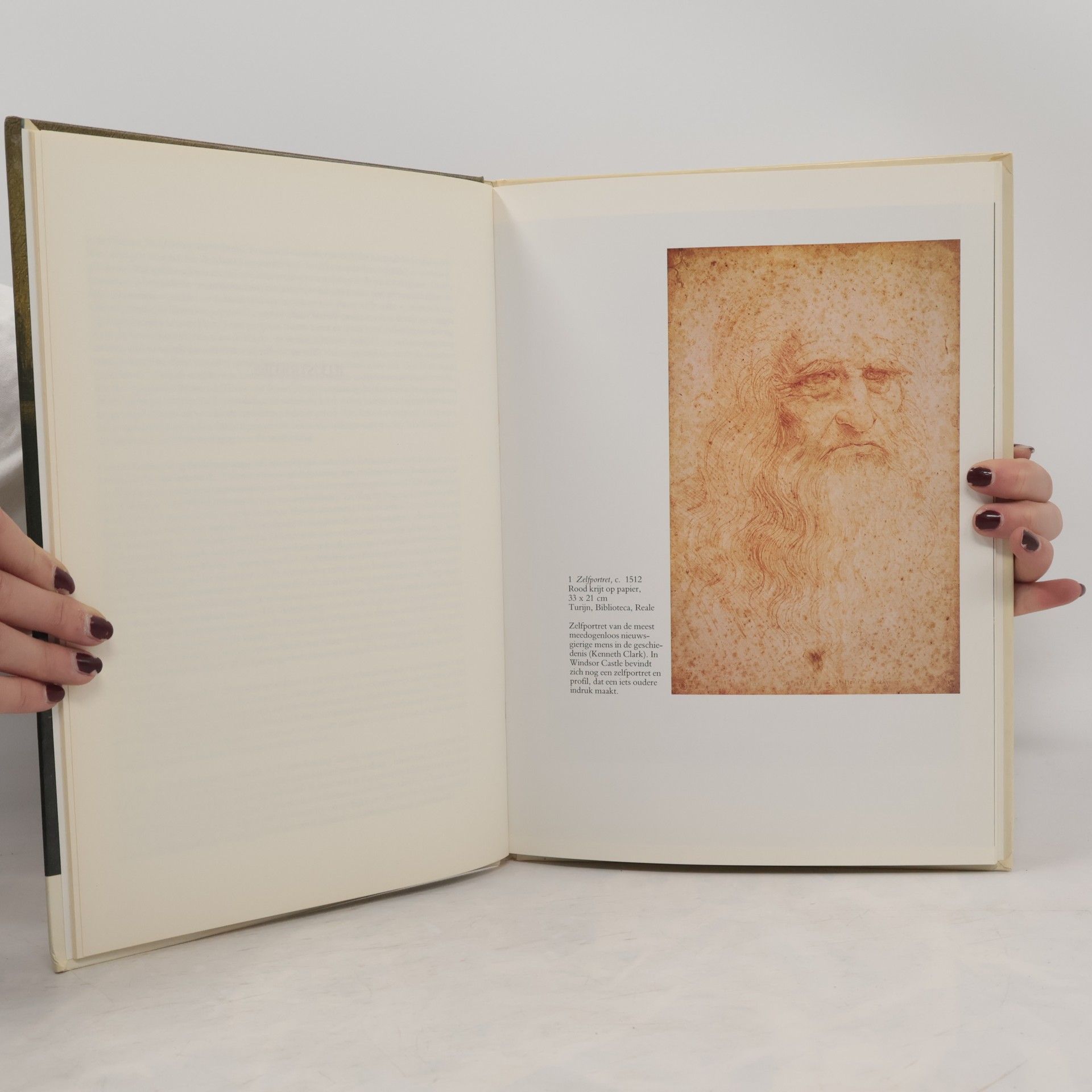 Maarten Beks Leonardo Da Vinci