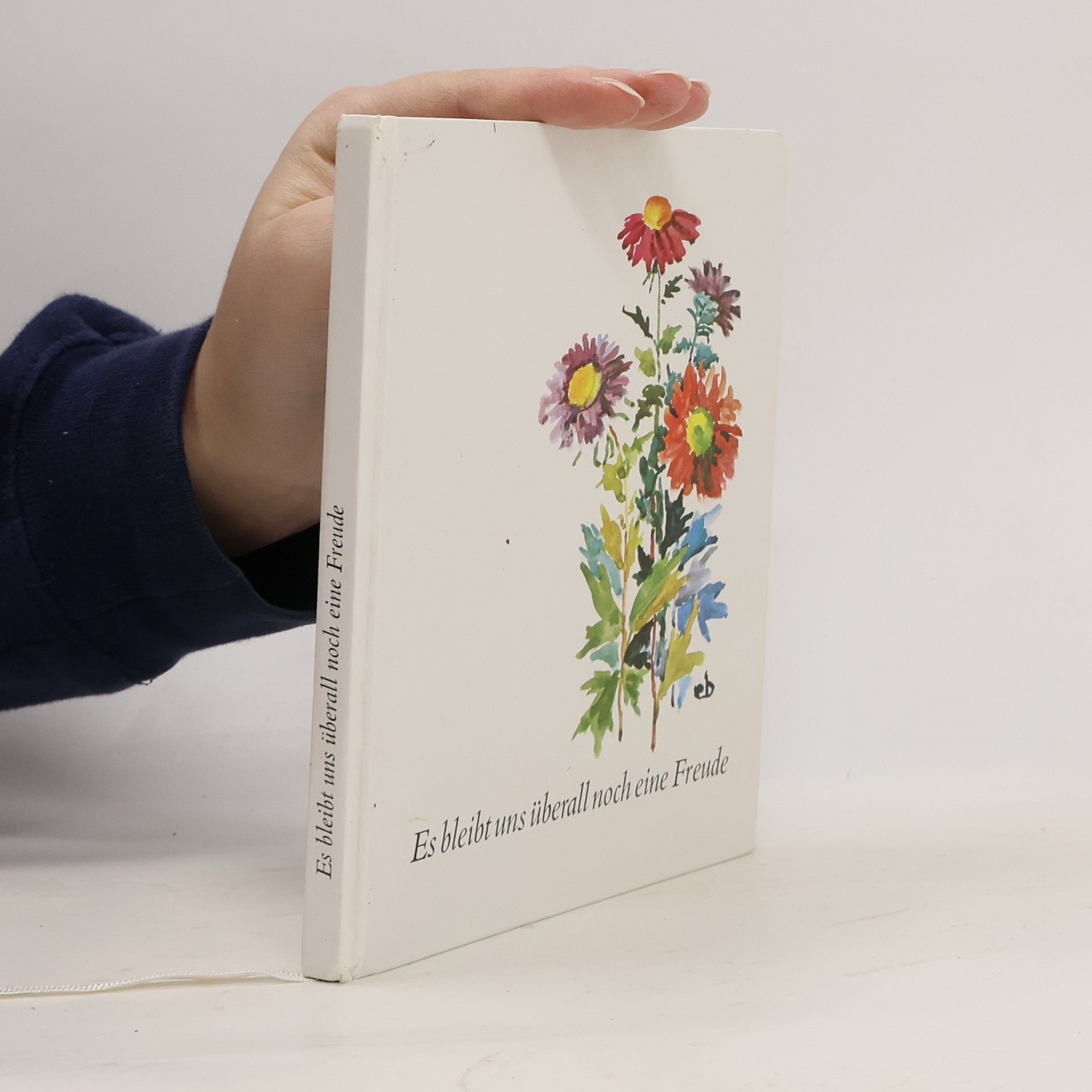 AA.VV. Es bleibt uns überall noch eine Freude