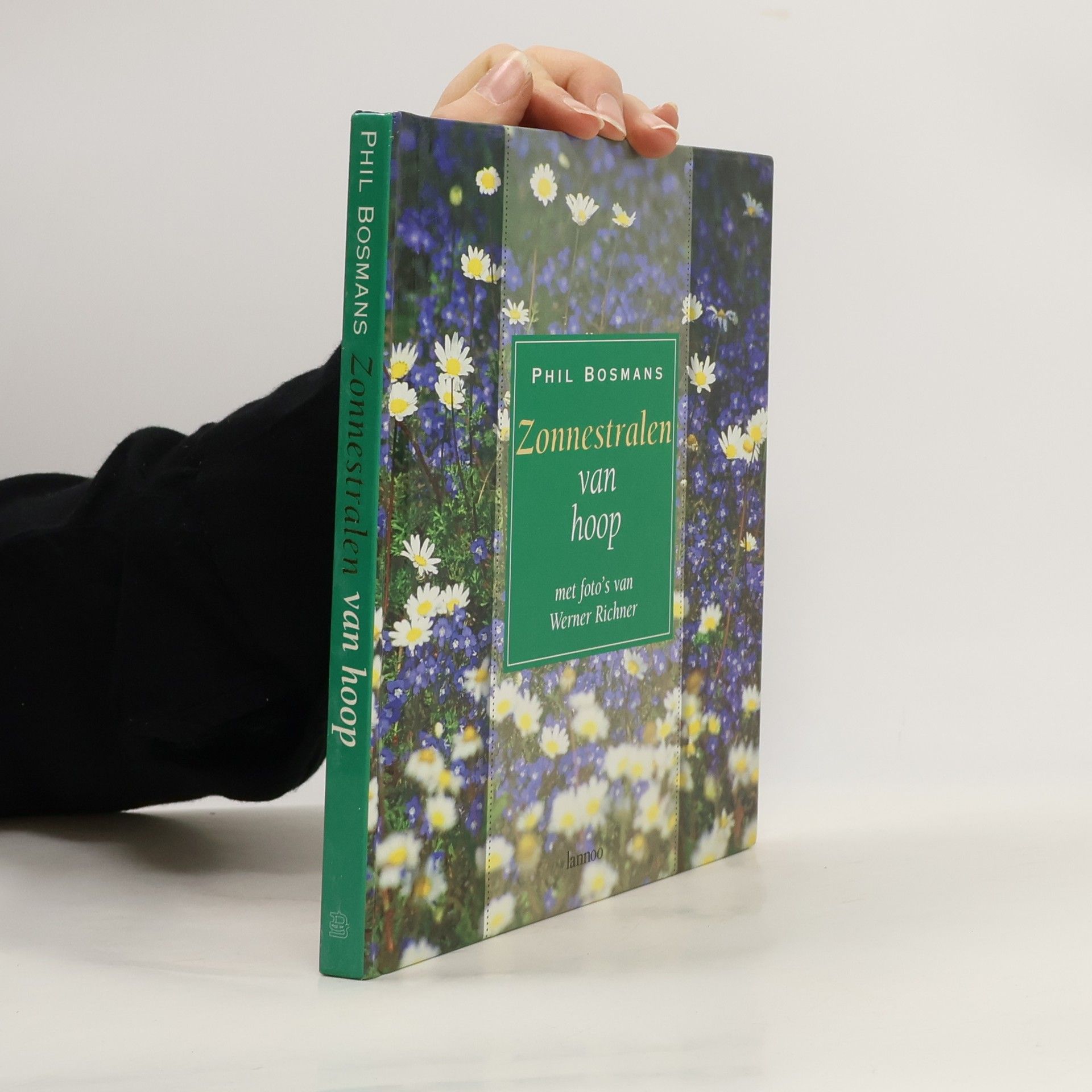 Zonnestralen van hoop