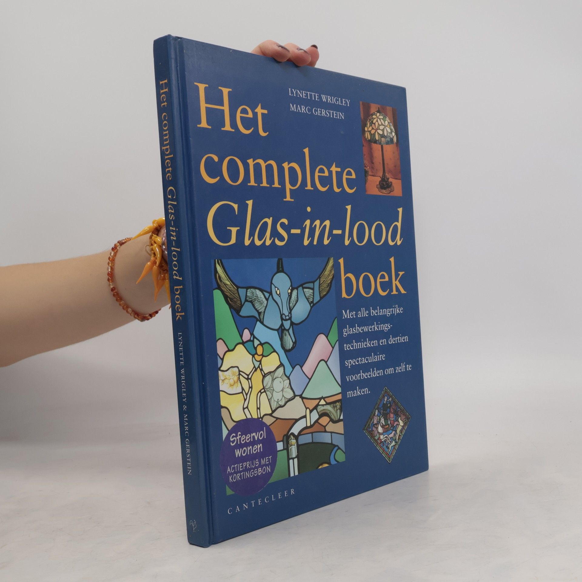 Lynette Wrigley Het complete Glas-in-lood-boek