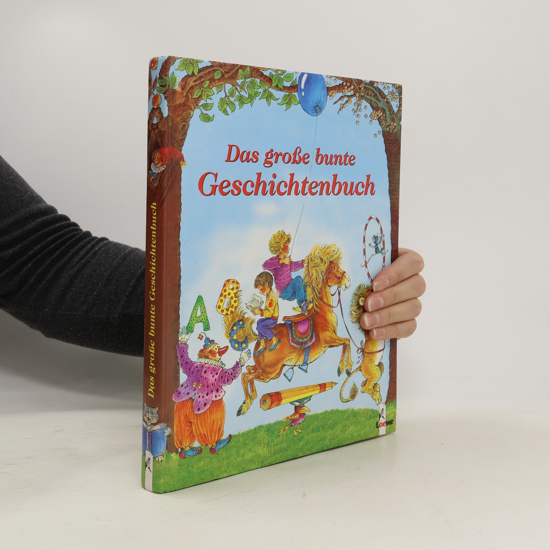 Collectif d'auteurs Das große bunte Geschichtenbuch