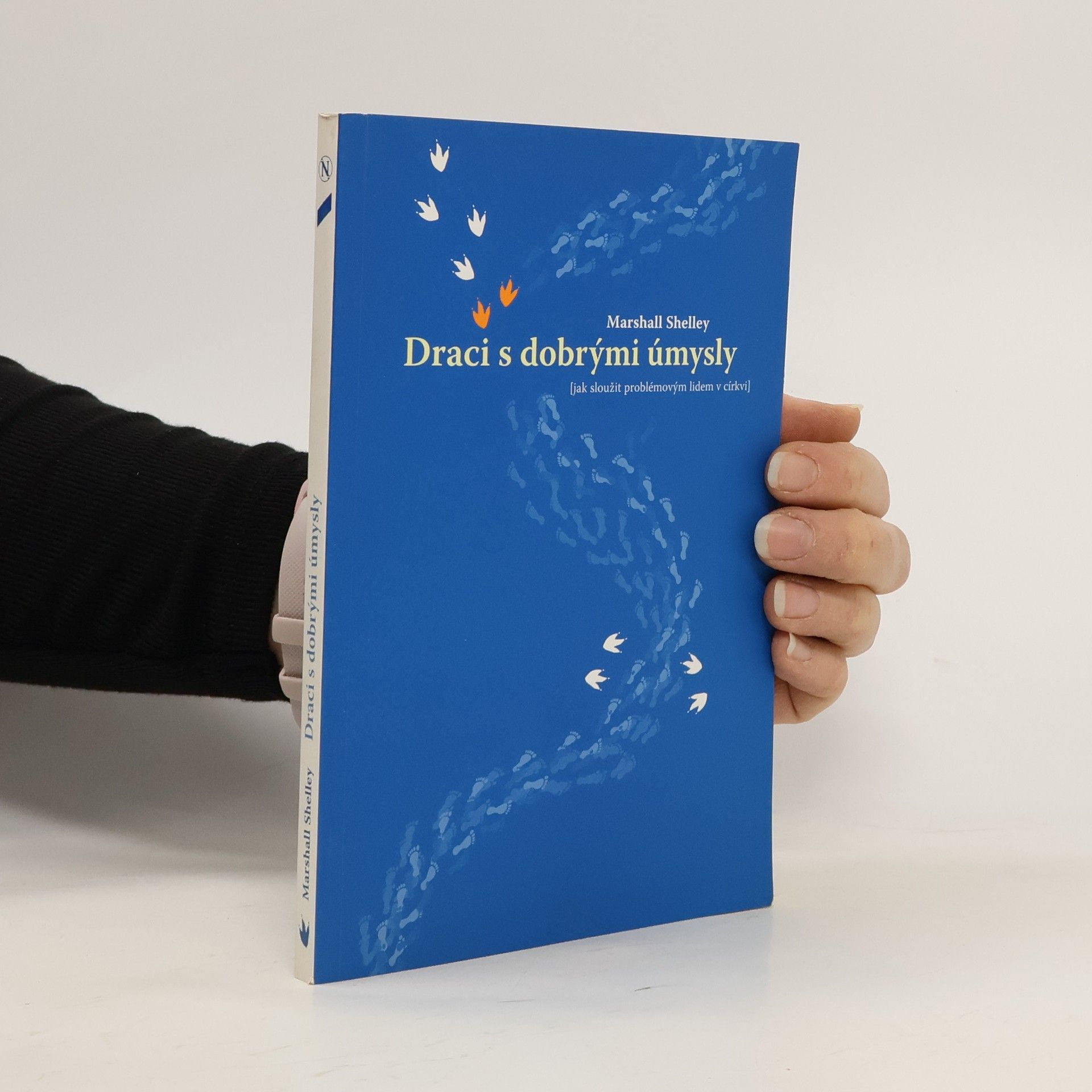 Draci s dobrými úmysly (jak sloužit problémovým lidem v církvi)