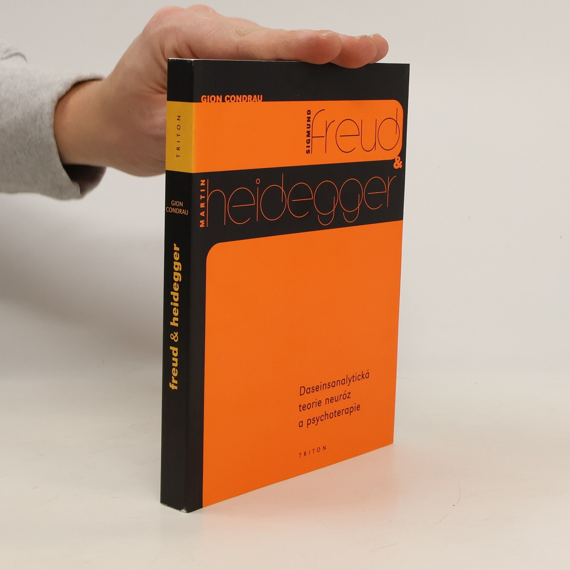 Gion Condrau Sigmund Freud & Martin Heidegger : daseinsanalytická teorie neuróz a psychoterapie