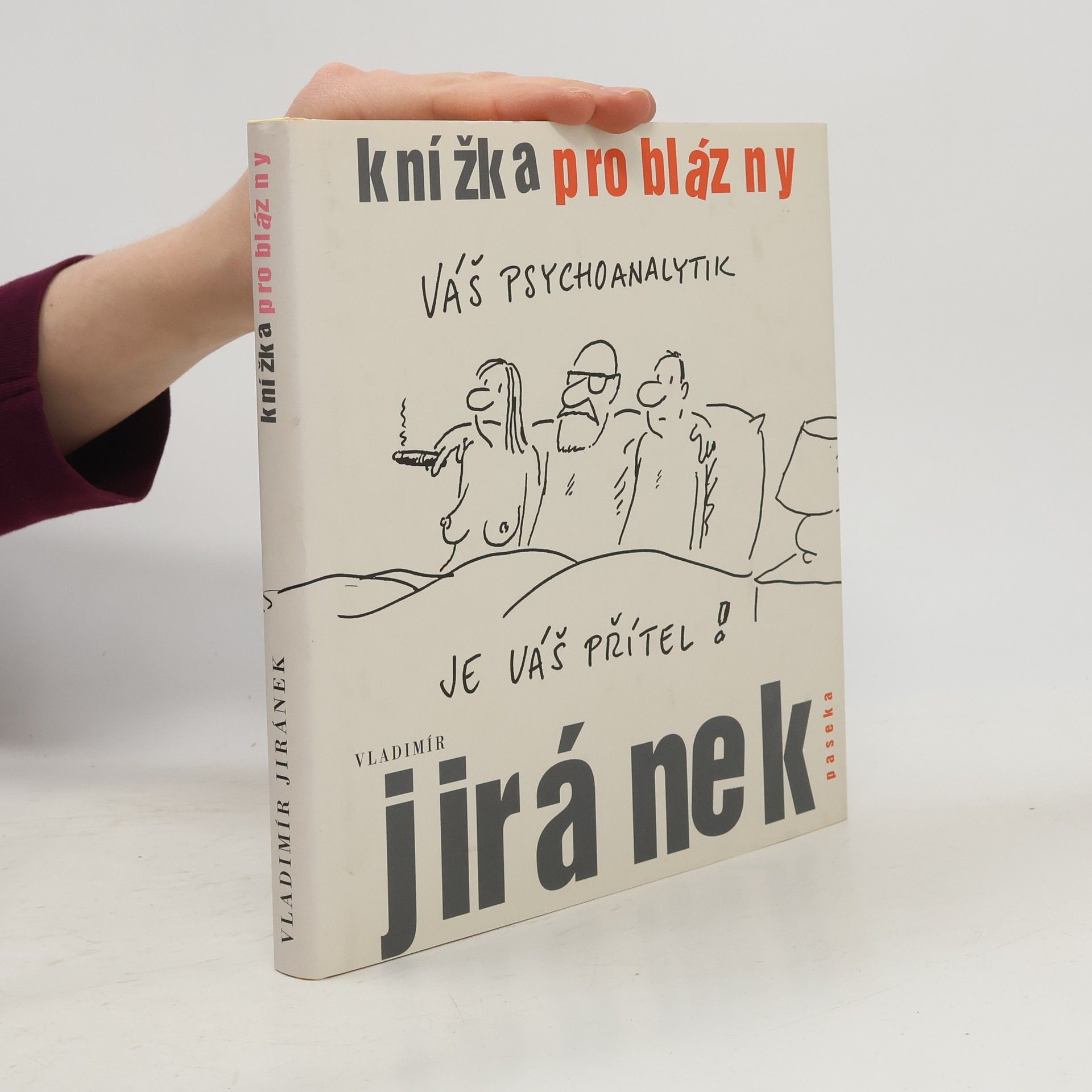 Vladimír Jiránek Knížka pro blázny