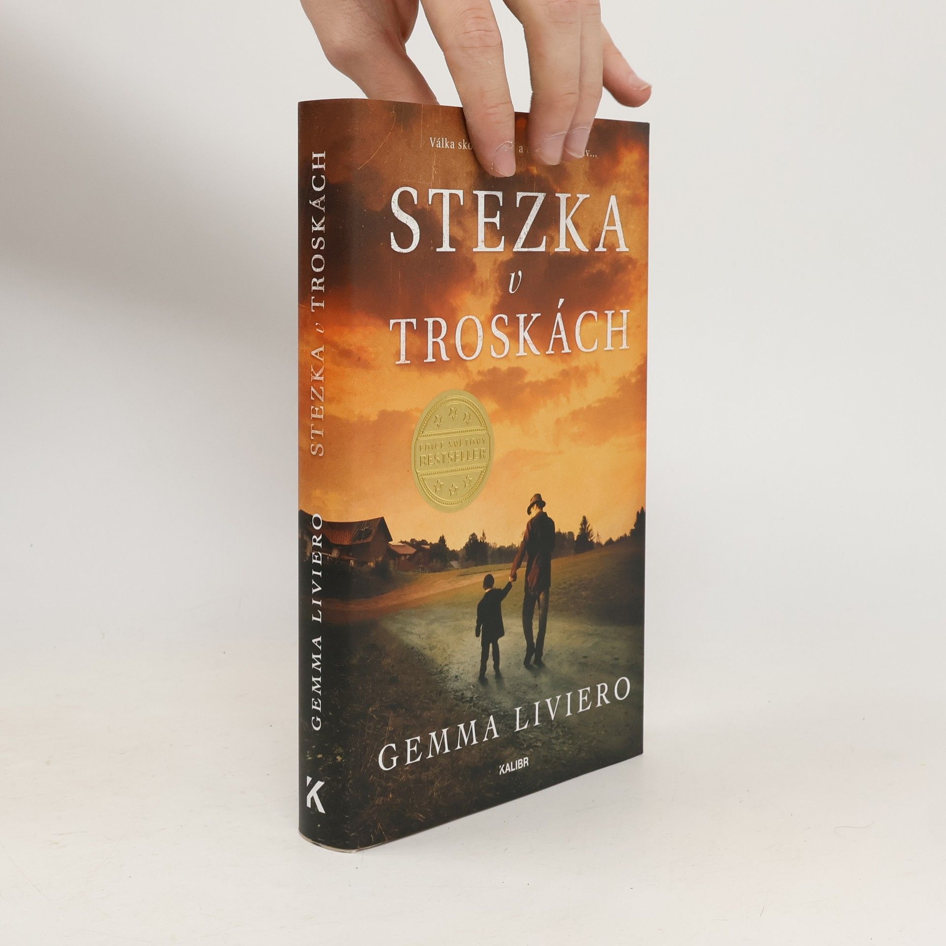 Gemma Liviero Stezka v troskách