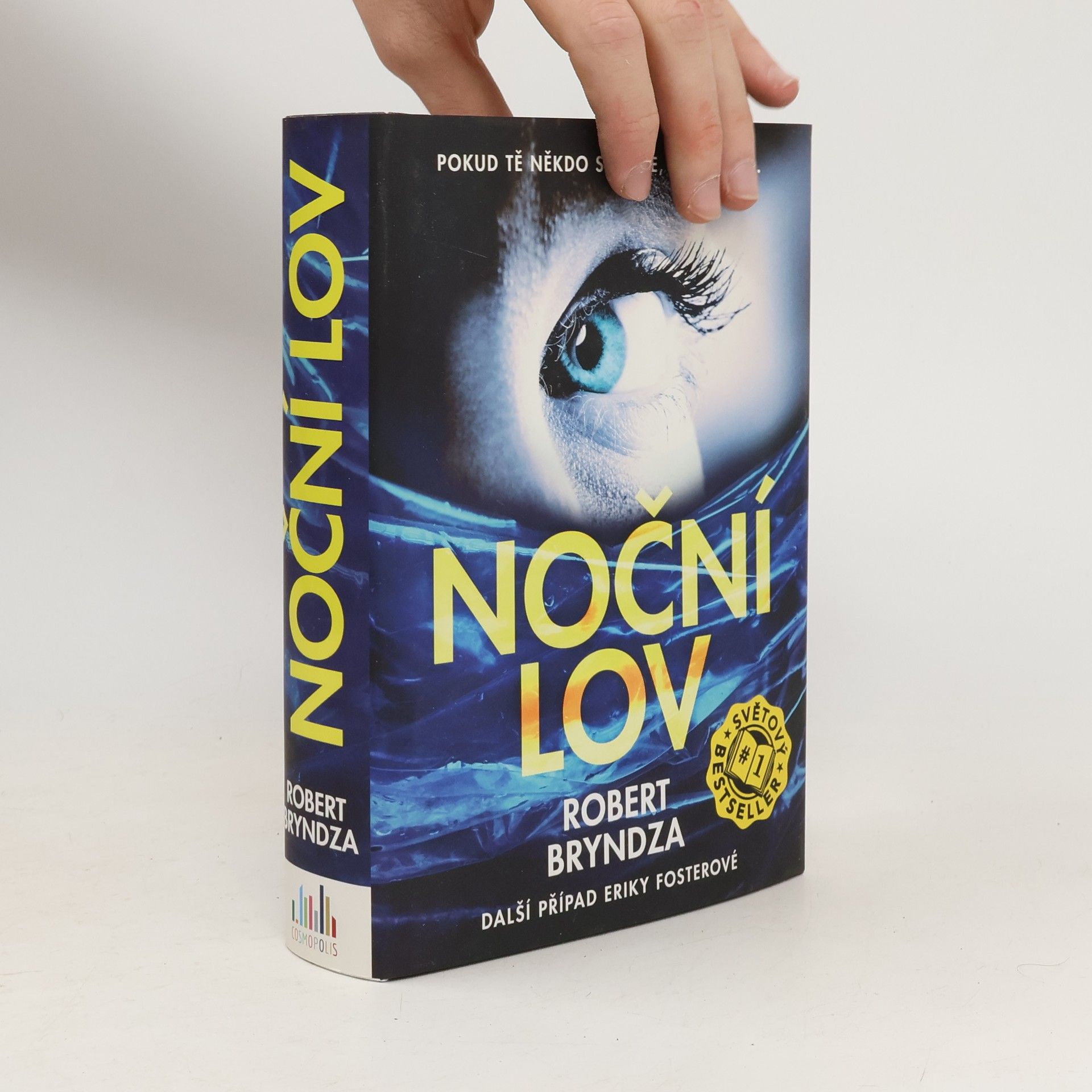 Robert Bryndza Noční lov