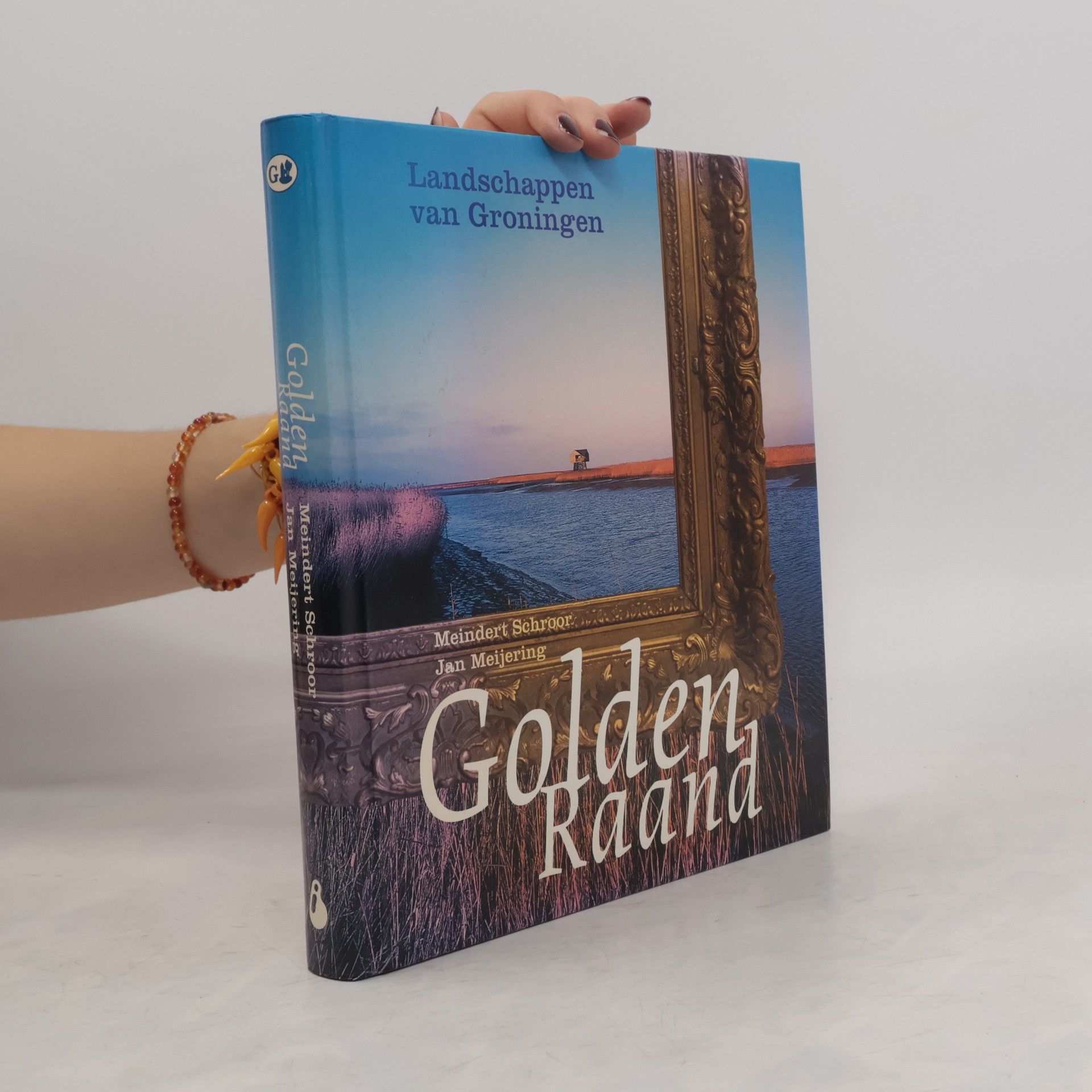 Meindert Schroor Golden Raand