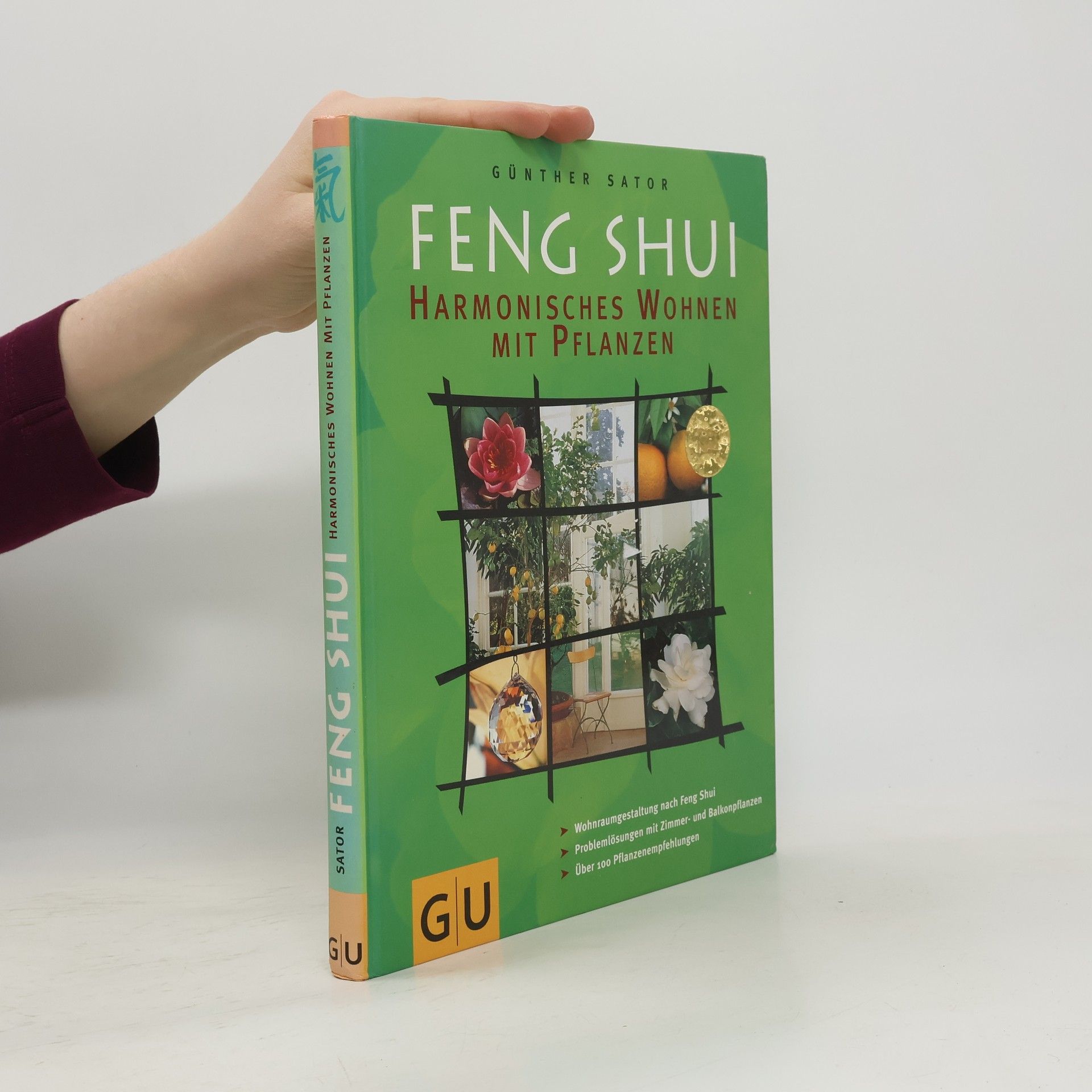 Feng-Shui: Harmonisches Wohnen mit Pflanzen