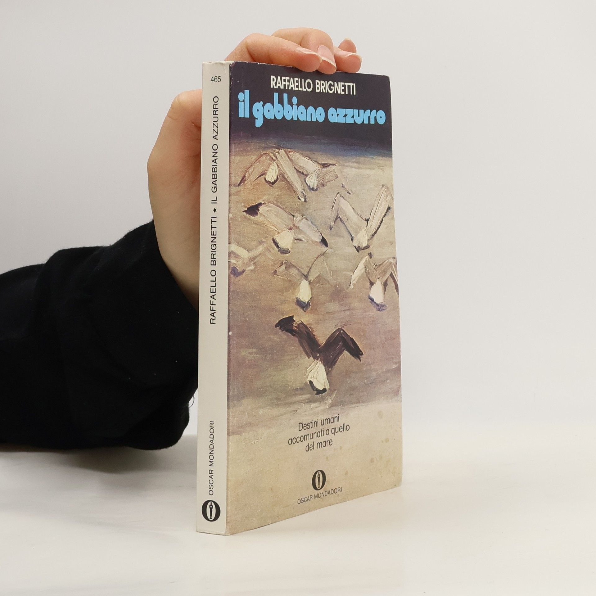 Raffaello Brignetti Il gabbiano azzurro