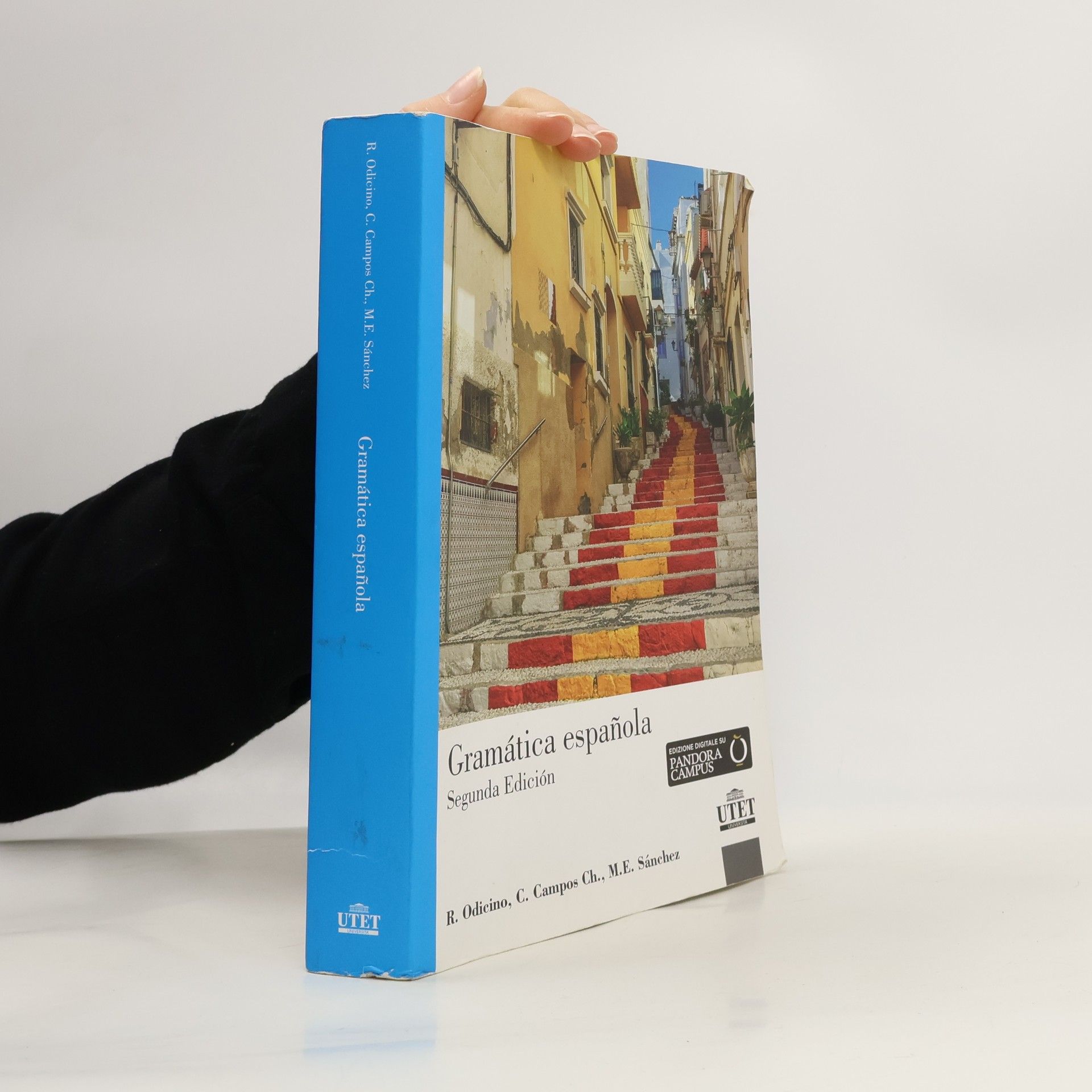 Raffaella Odicino Gramática española. Niveles A1-C2 - Segunda edición