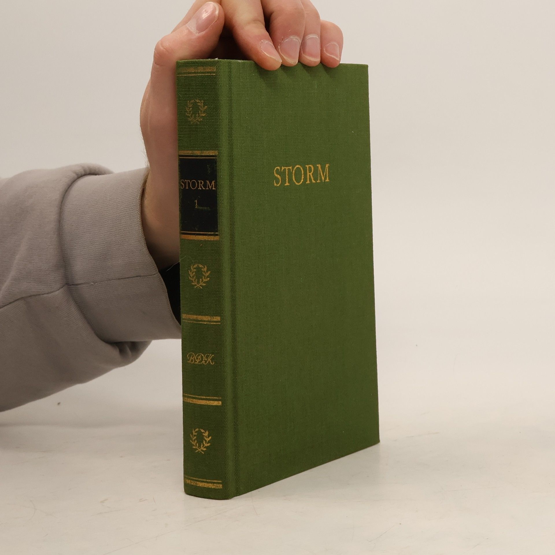 Theodor Storm Storms Werke in zwei Banden. Erster band