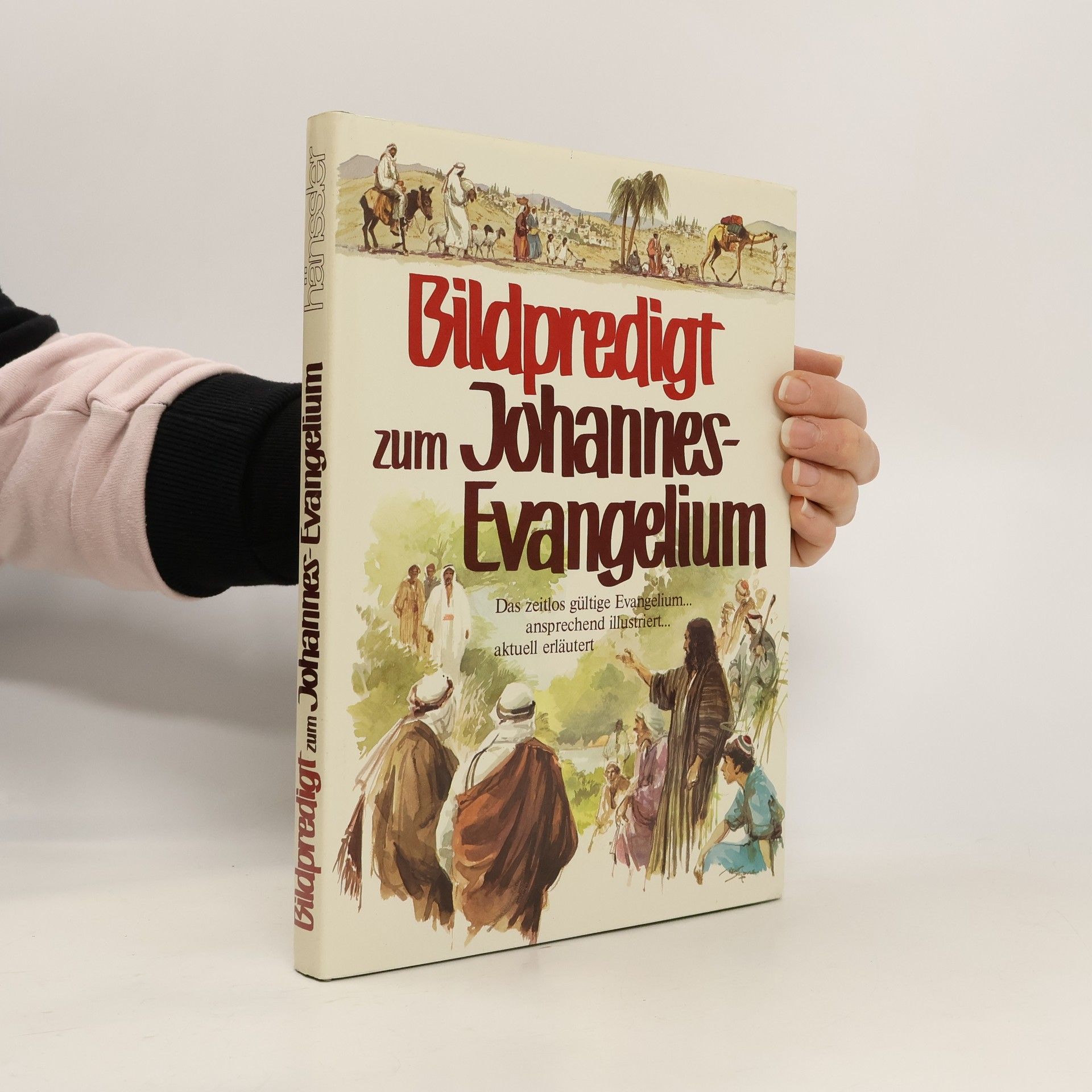 Kolektív autorov Bildpredigt zum Johannes-Evangelium