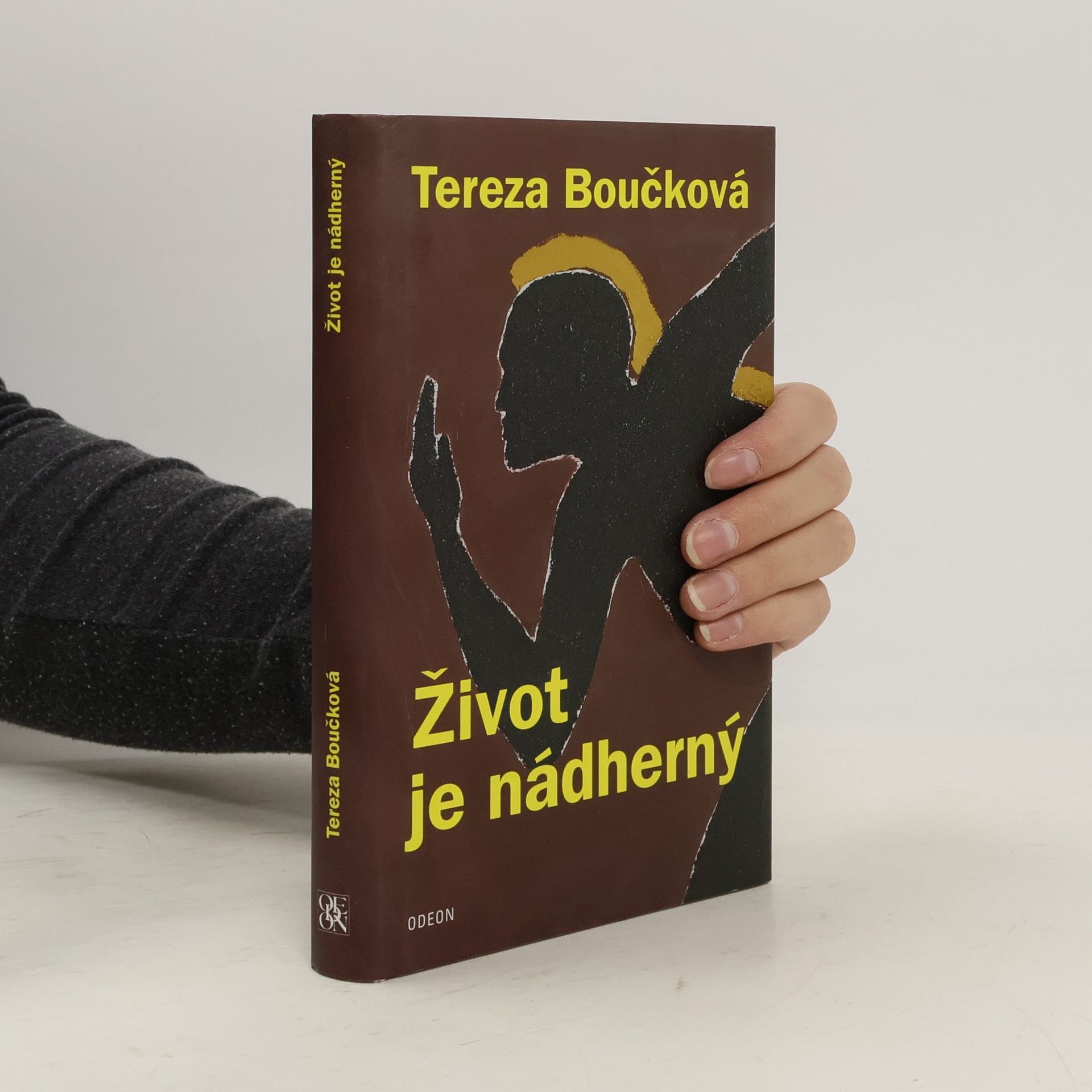 Život je nádherný