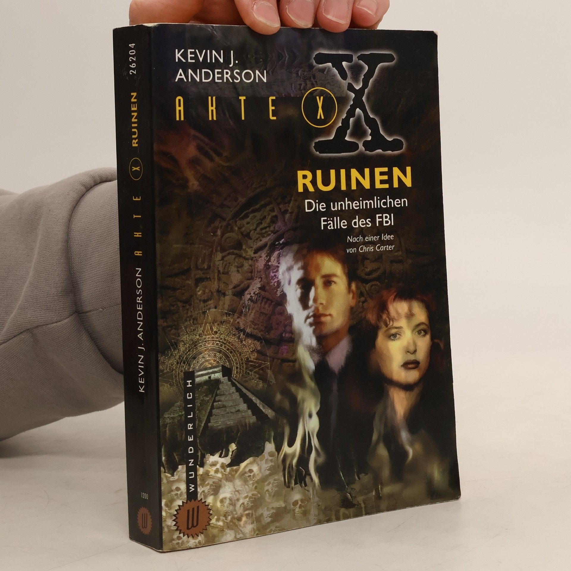 Kevin J. Anderson Akte X. Ruinen