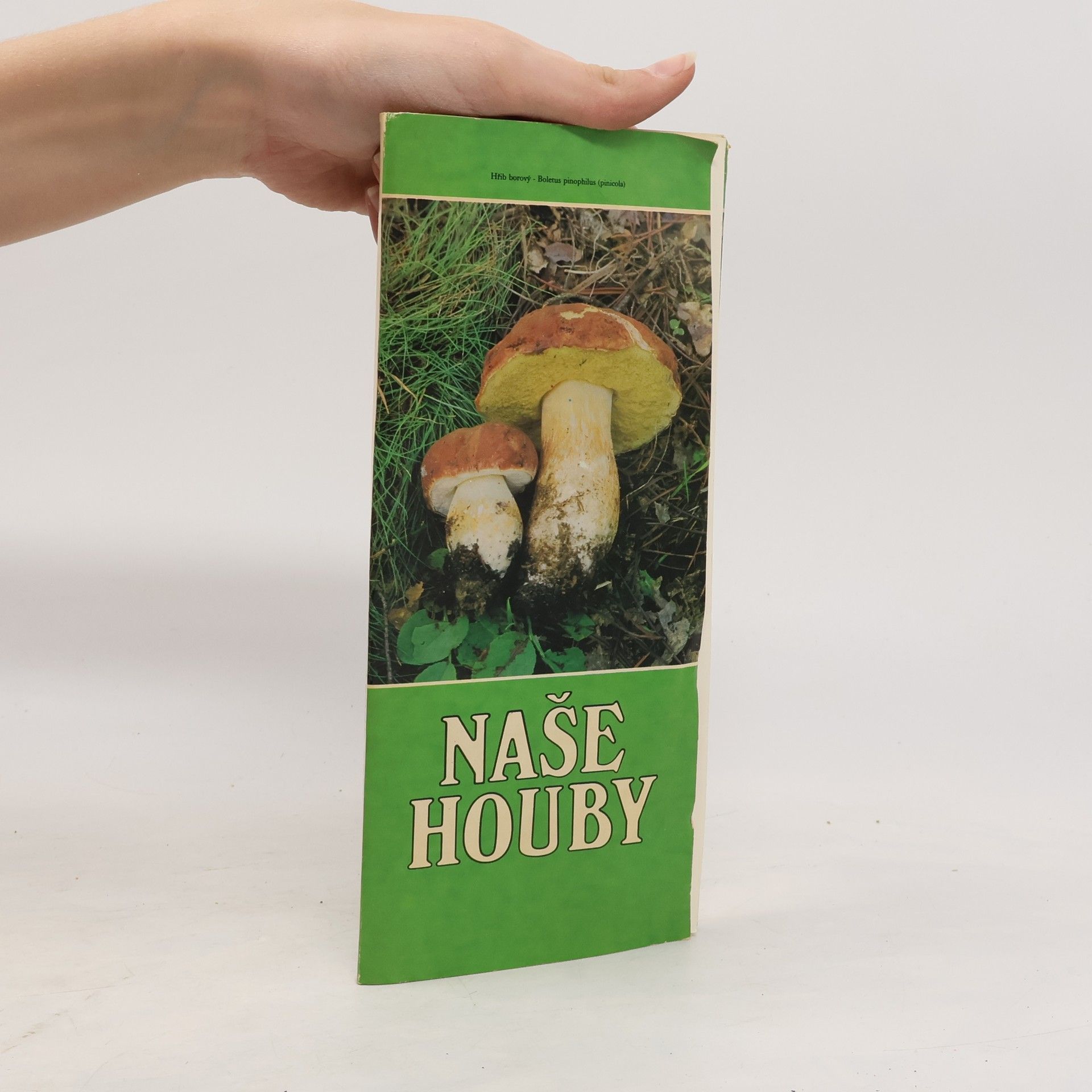 Karel Kult Naše houby