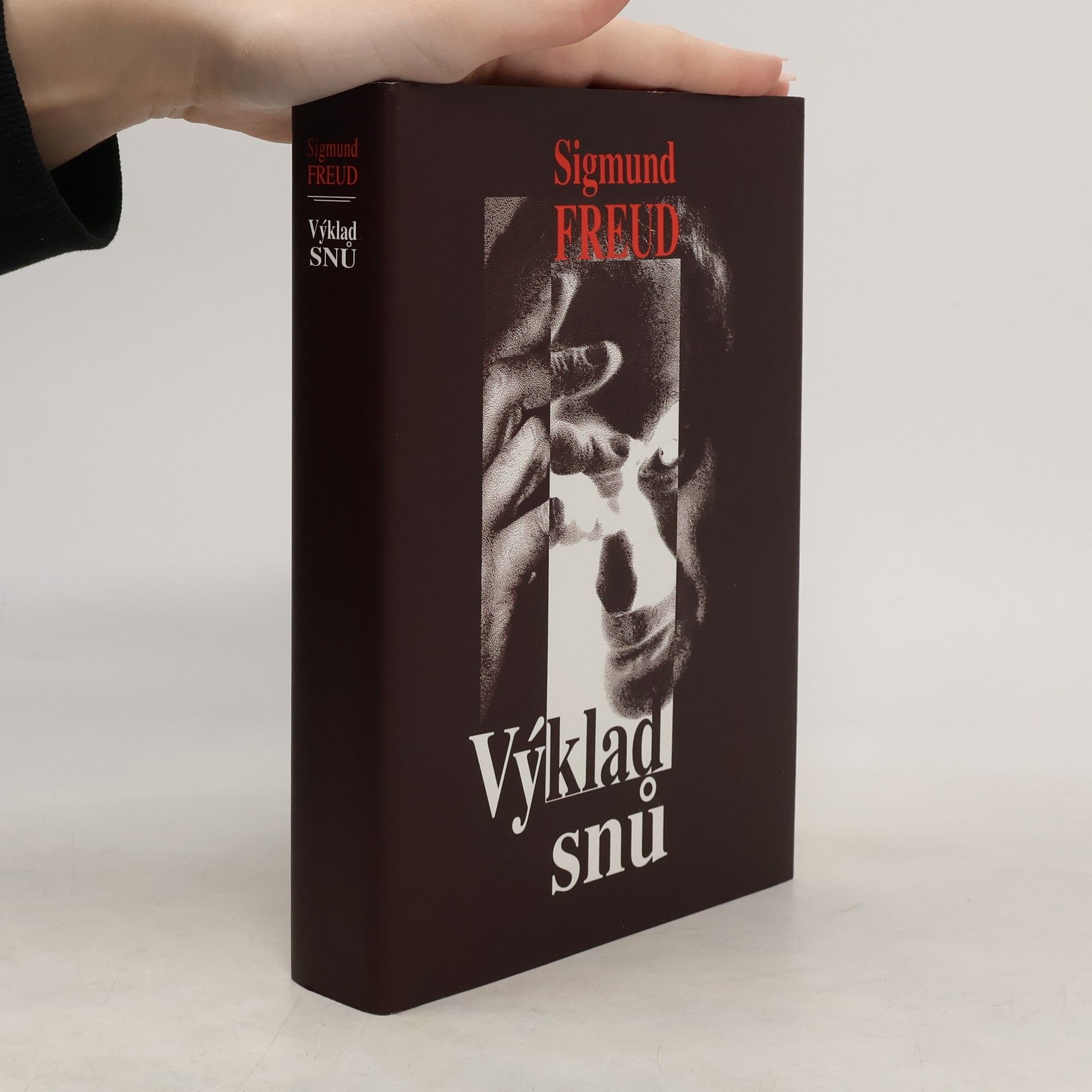 Sigmund Freud Výklad snů