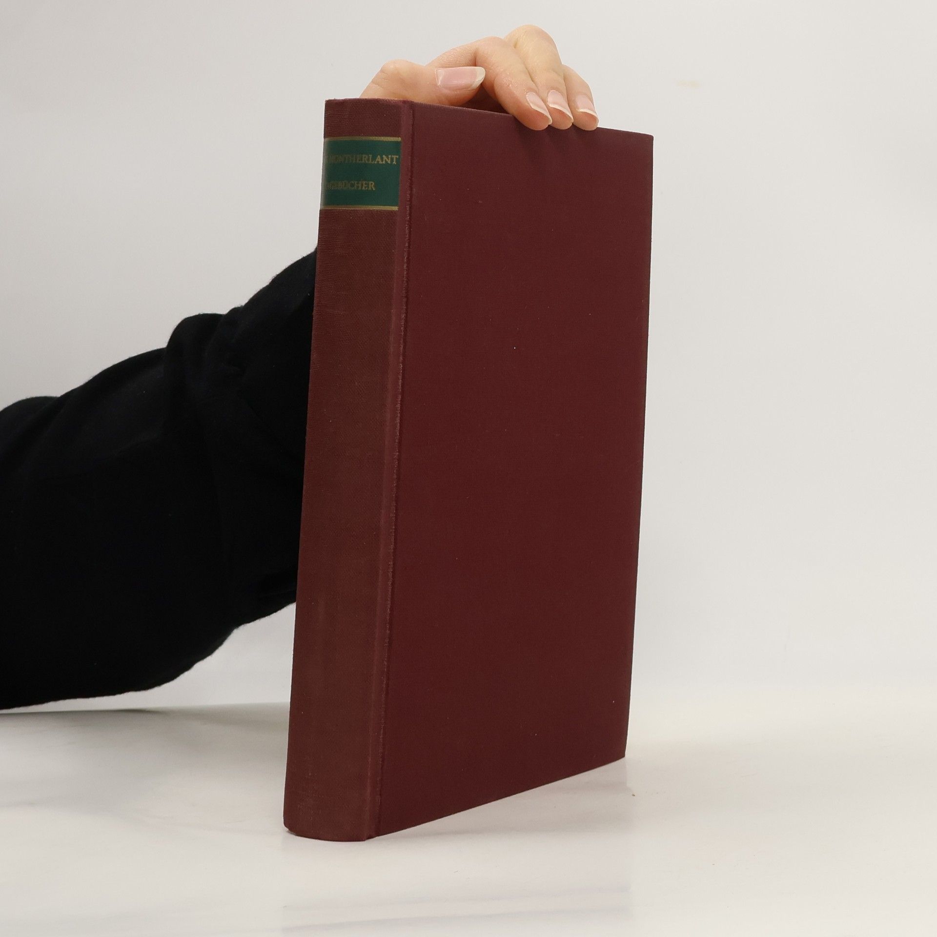 Henry de Montherlant Tagebücher 1930-1944