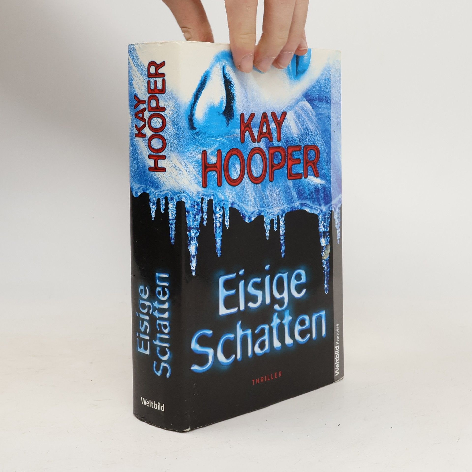 Kay Hooper Eisige Schatten