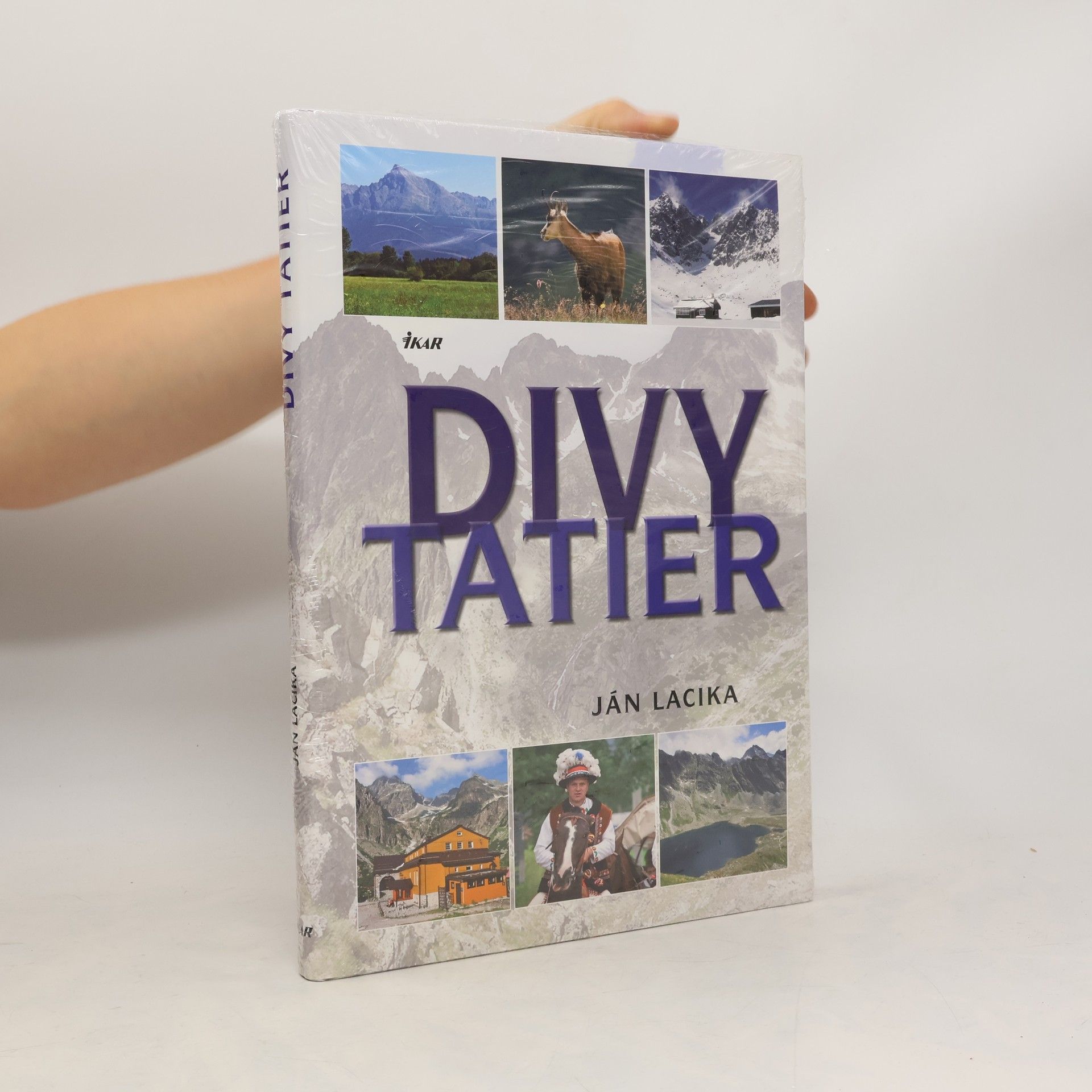 Rebecca Stephens Divy Tatier