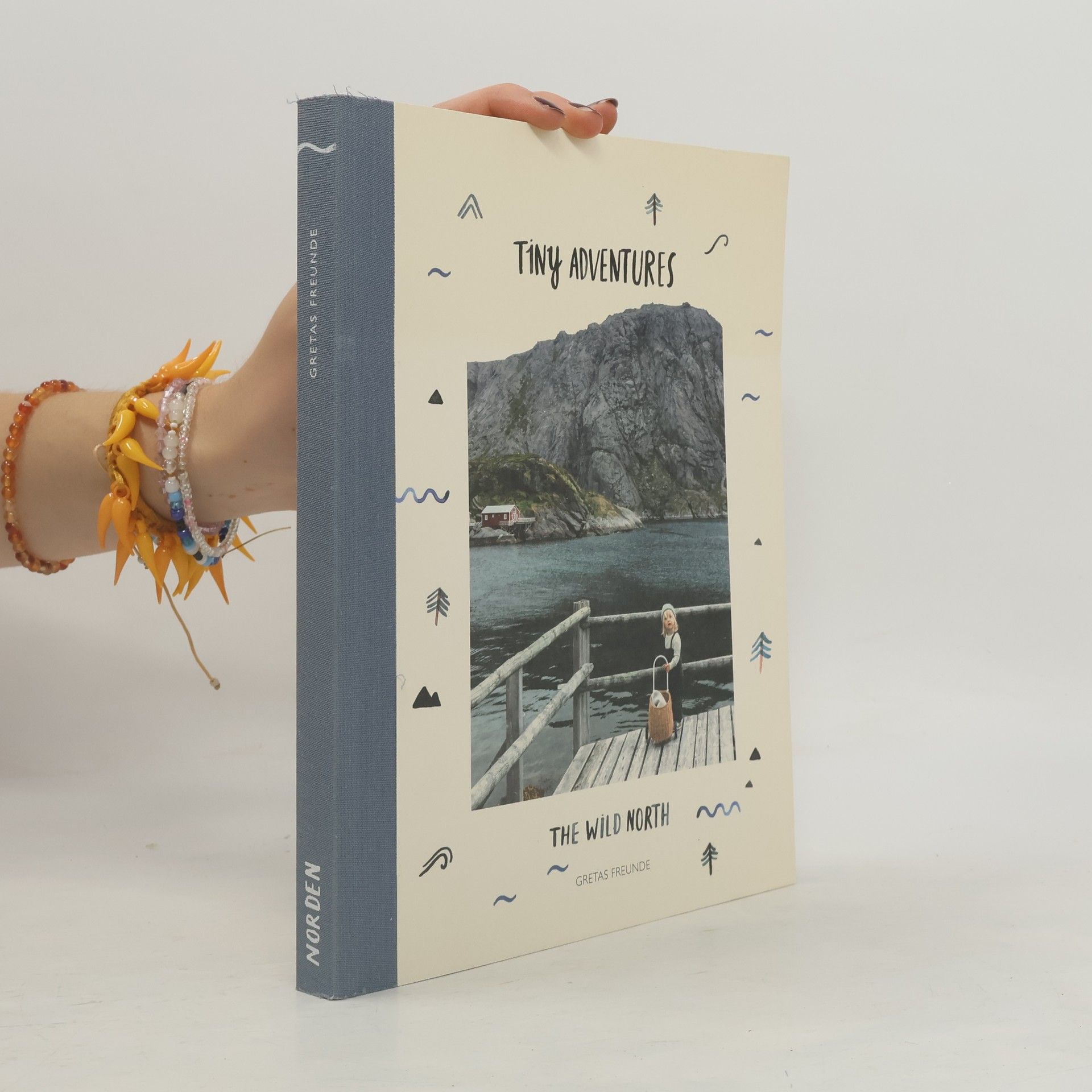 Collectif d'auteurs Tiny Adventures. The Wild North
