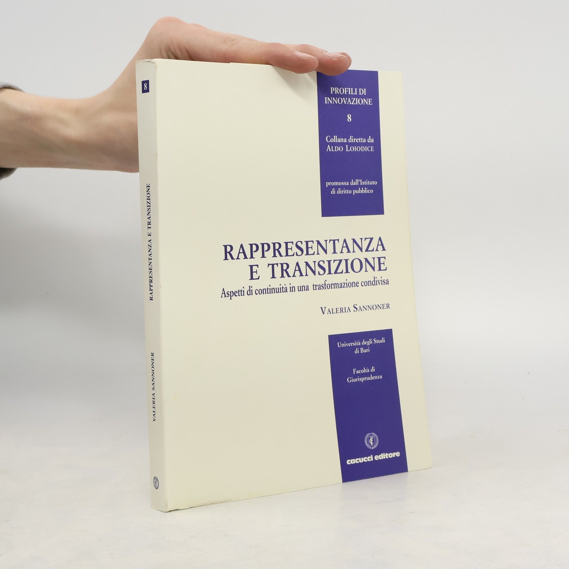 Valeria Sannoner Profili di innovazione - 8: Rappresentanza e transizione. Aspetti di continuità in una trasformazione condivisa