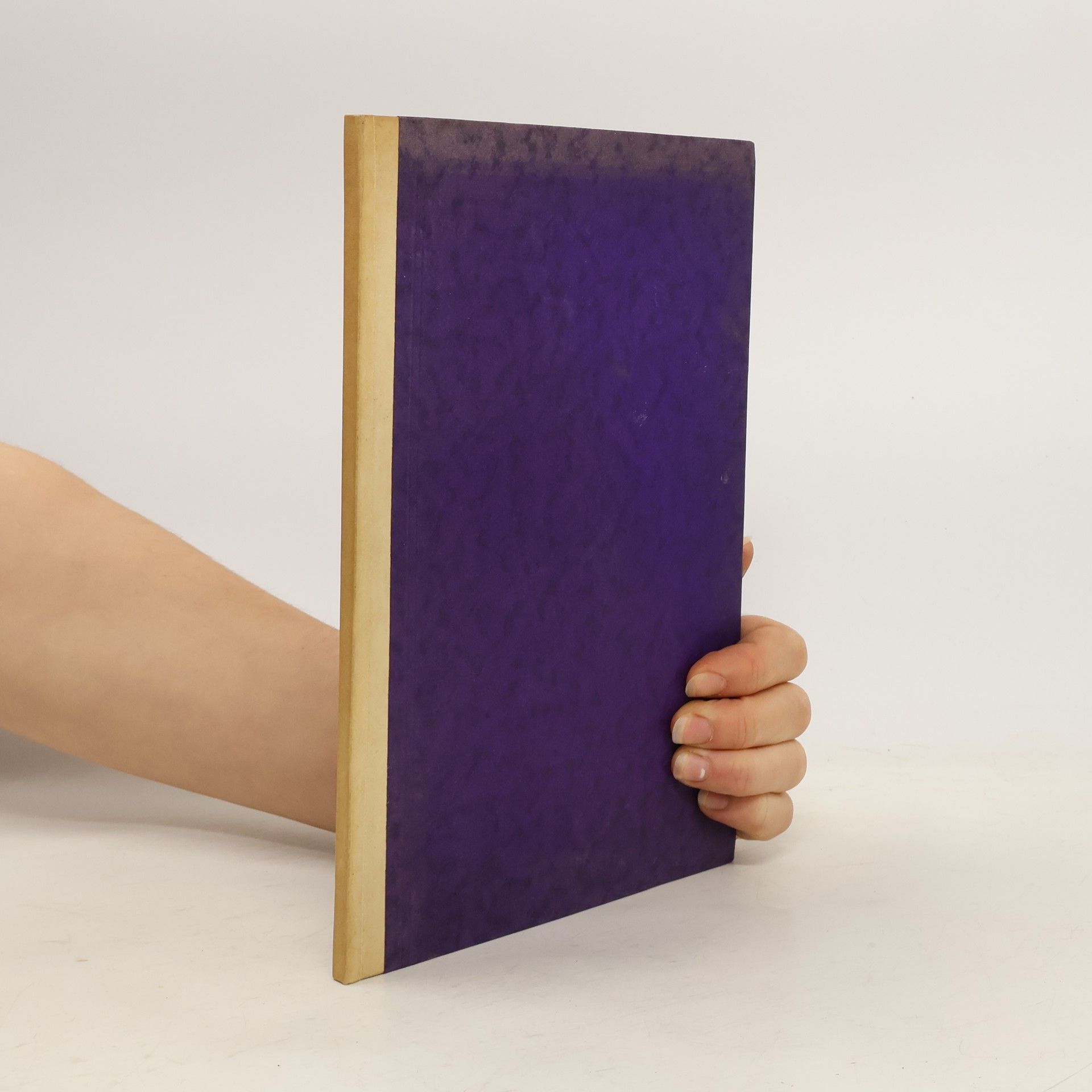 O poměru obecenstva k umění : bankrot estetiky a krise umění