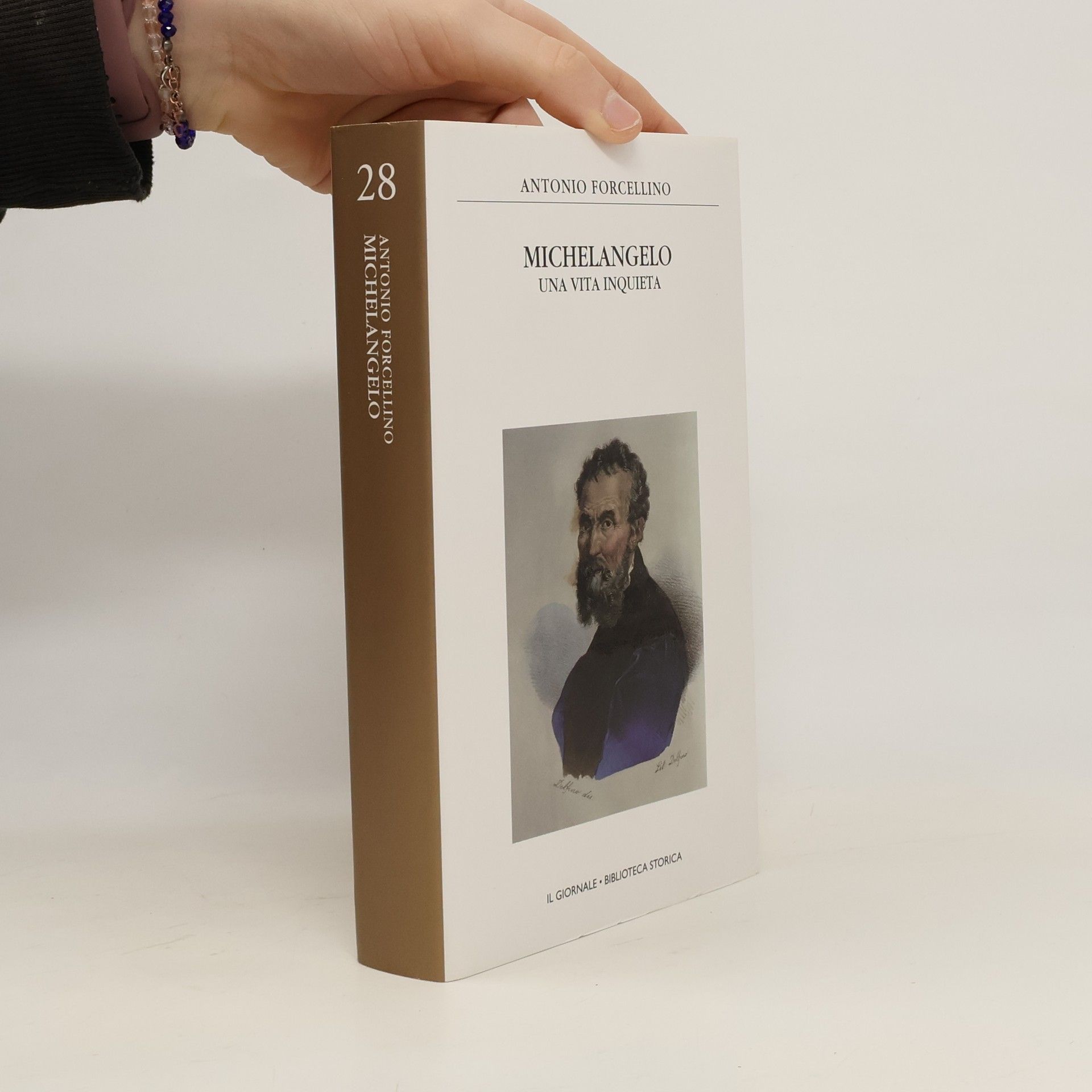 Antonio Forcellino Michelangelo