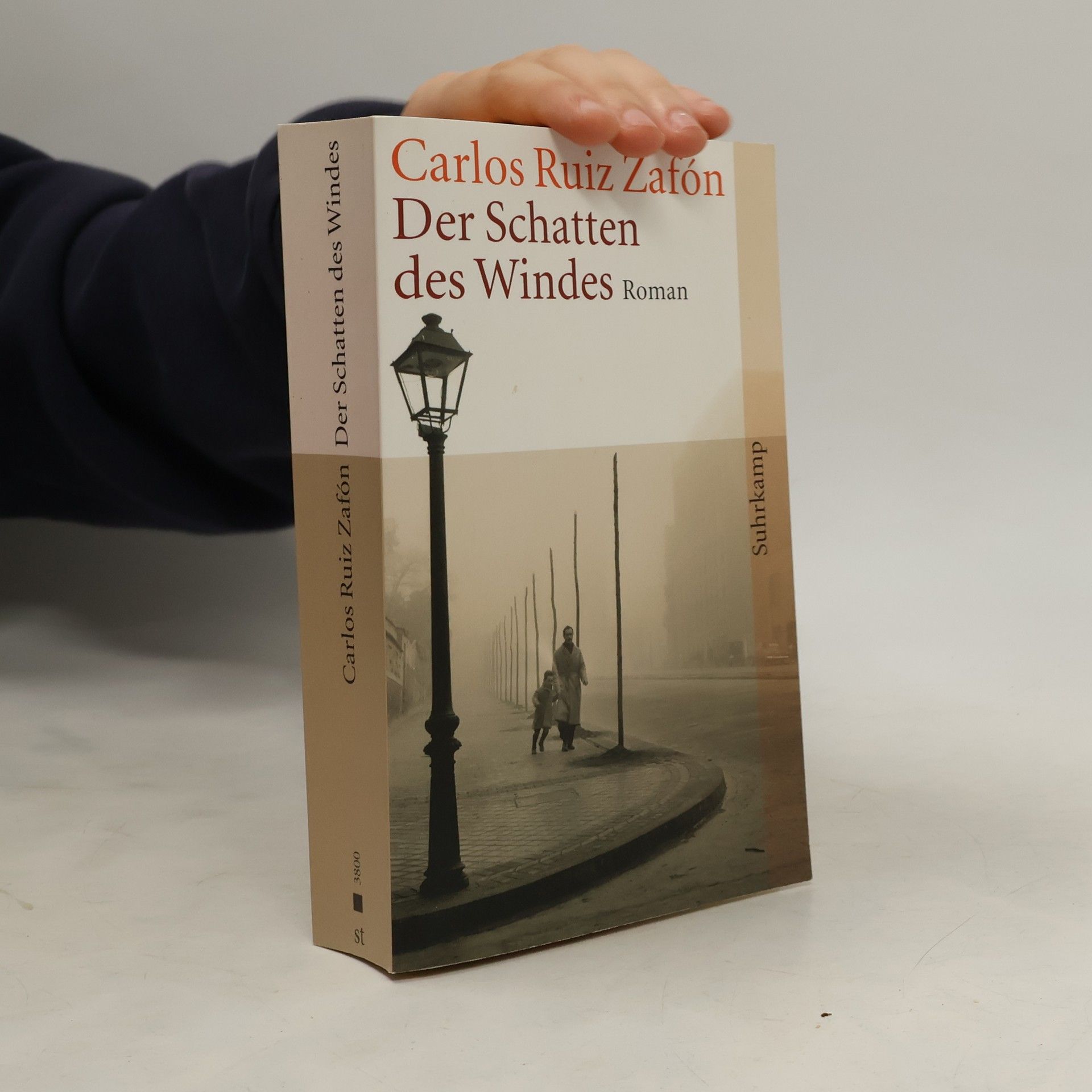 Der Schatten des Windes