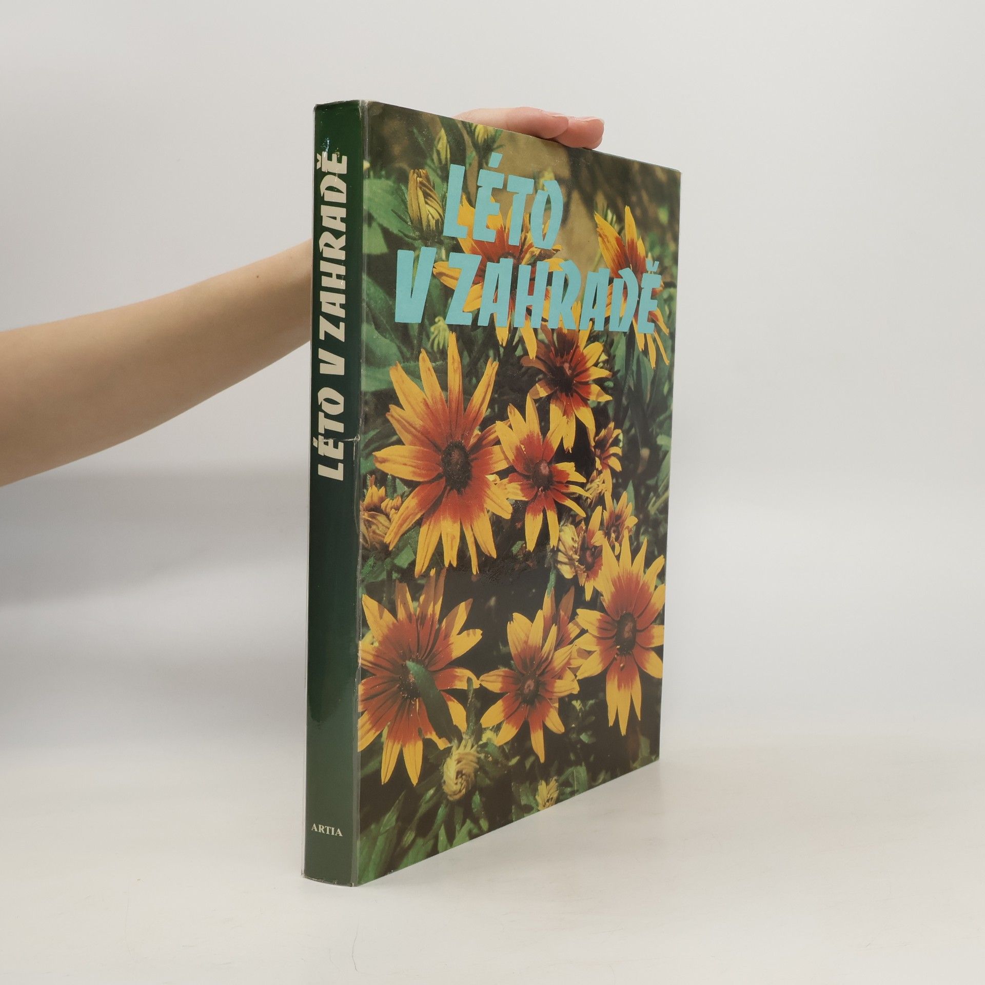 Kolektiv autorů Léto v zahradě