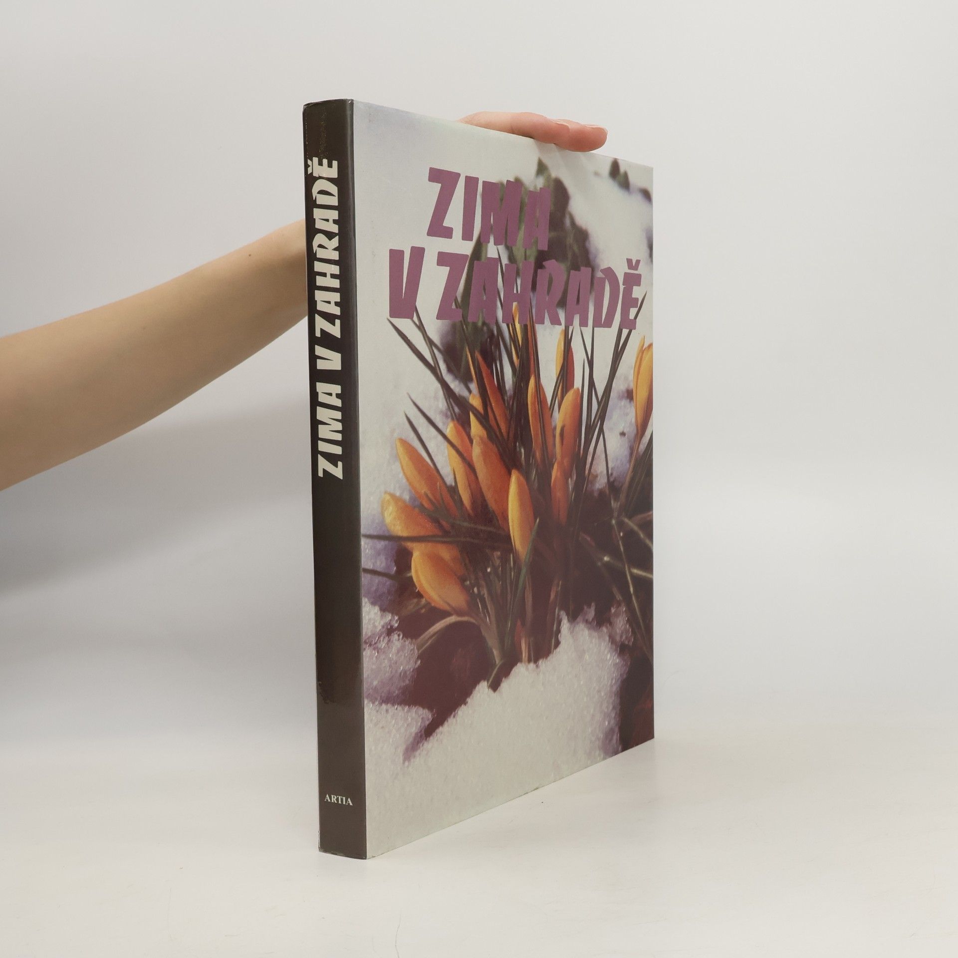 Kolektiv autorů Zima v zahradě