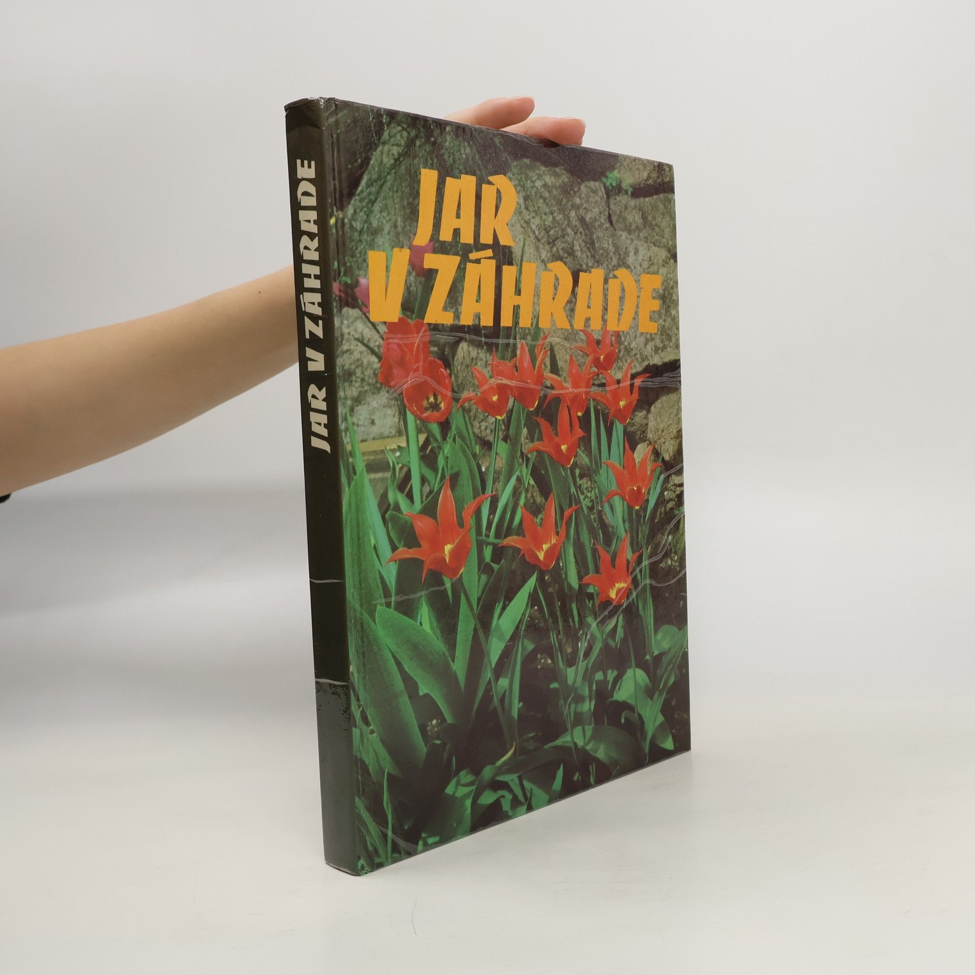 Various authors Jar v záhrade