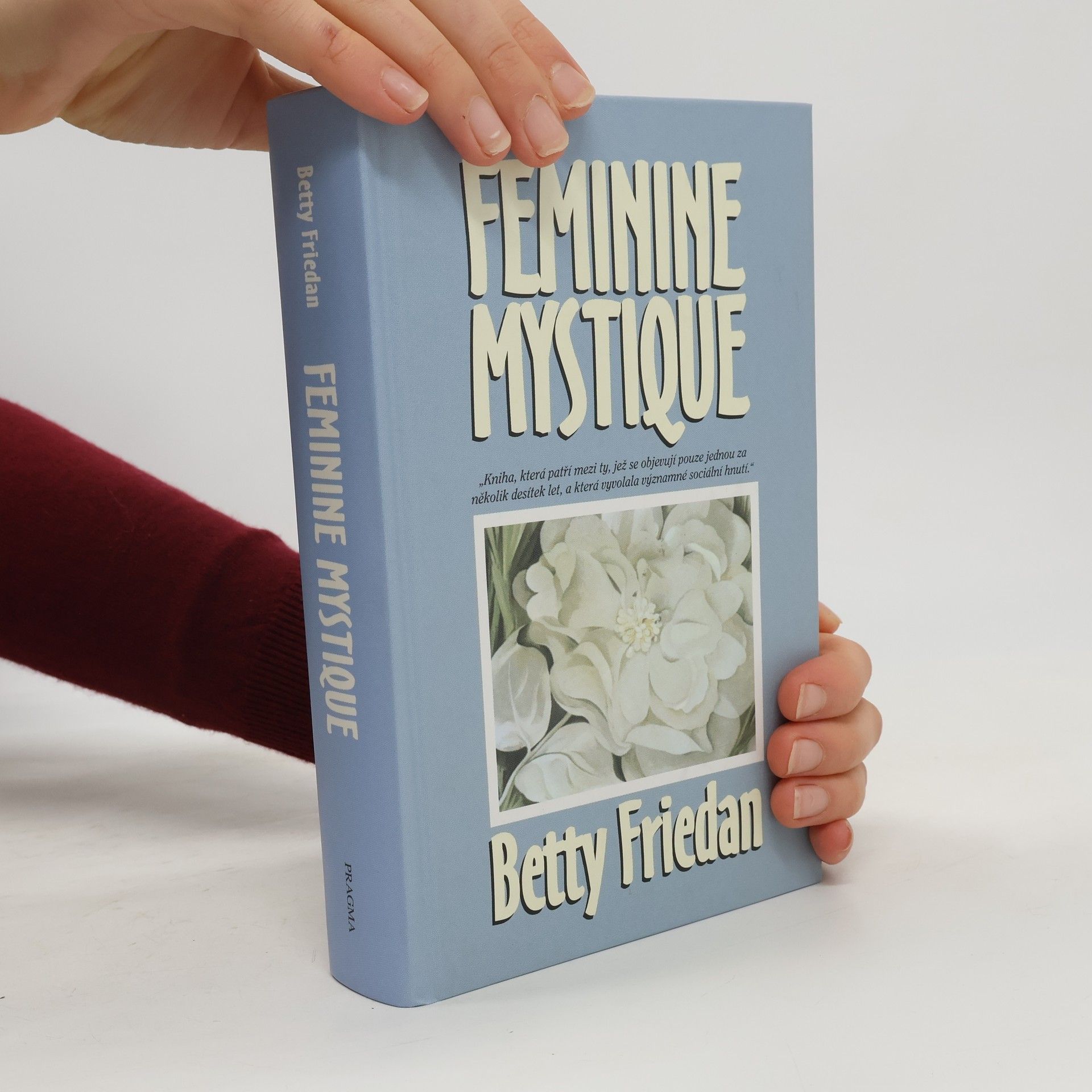 Betty Friedan Feminine mystique