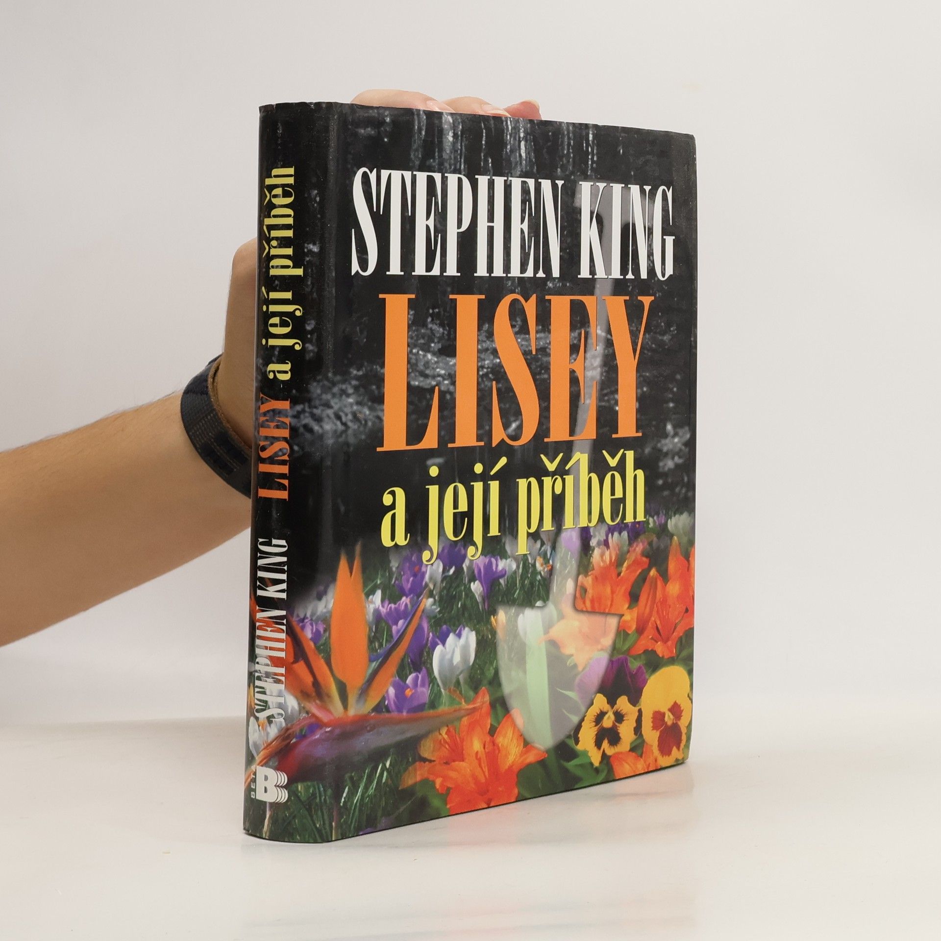 Stephen King Lisey a její příběh