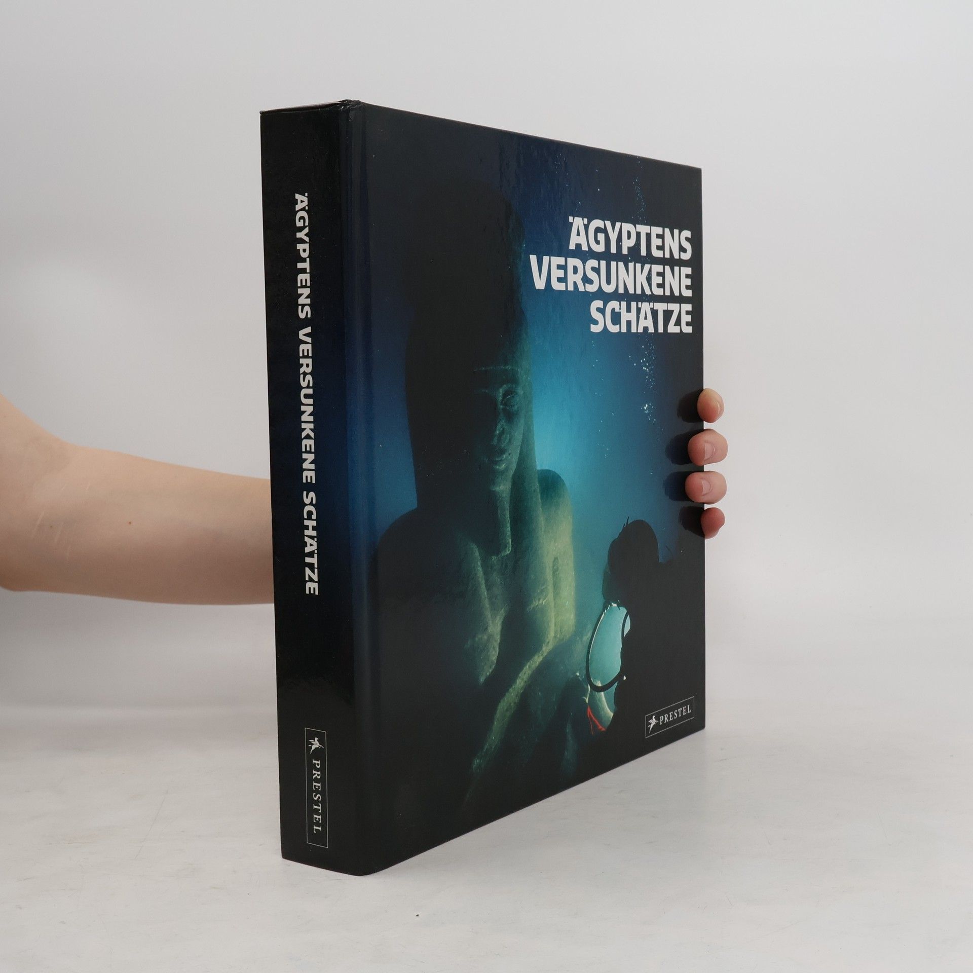 Franck Goddio Ägyptens versunkene Schätze