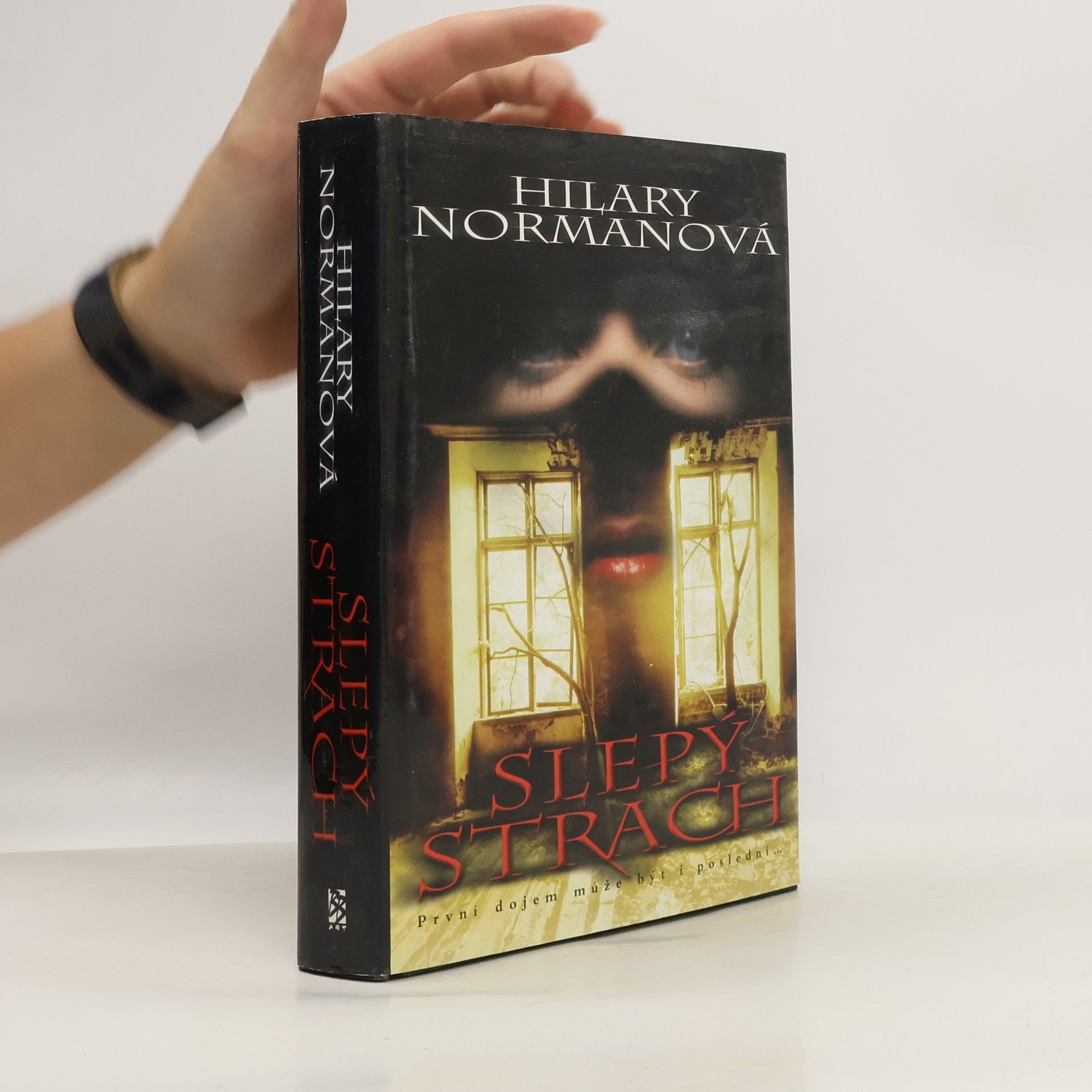 Hilary Norman Slepý strach