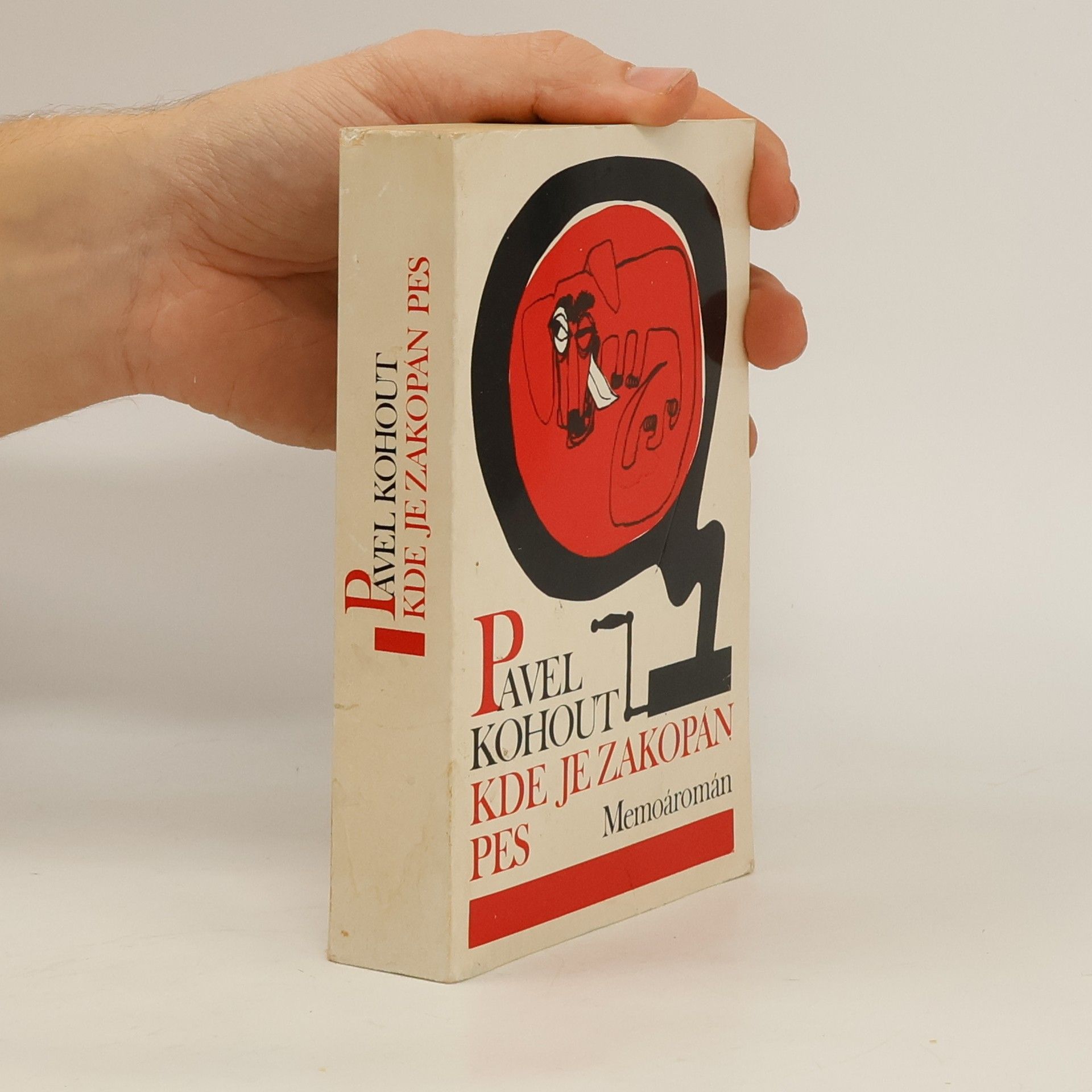 Pavel Kohout Kde je zakopán pes