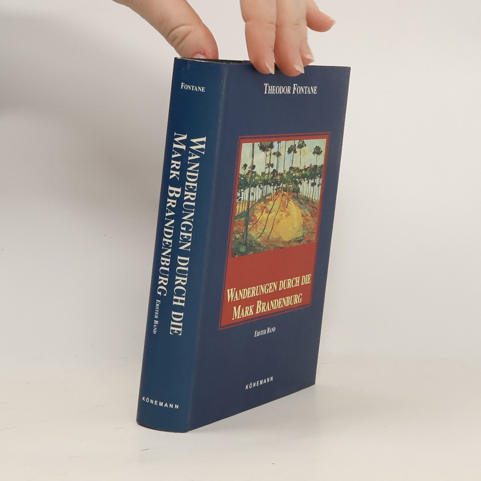 Theodor Fontane Wanderungen durch die Mark Brandenburg. Band 1.