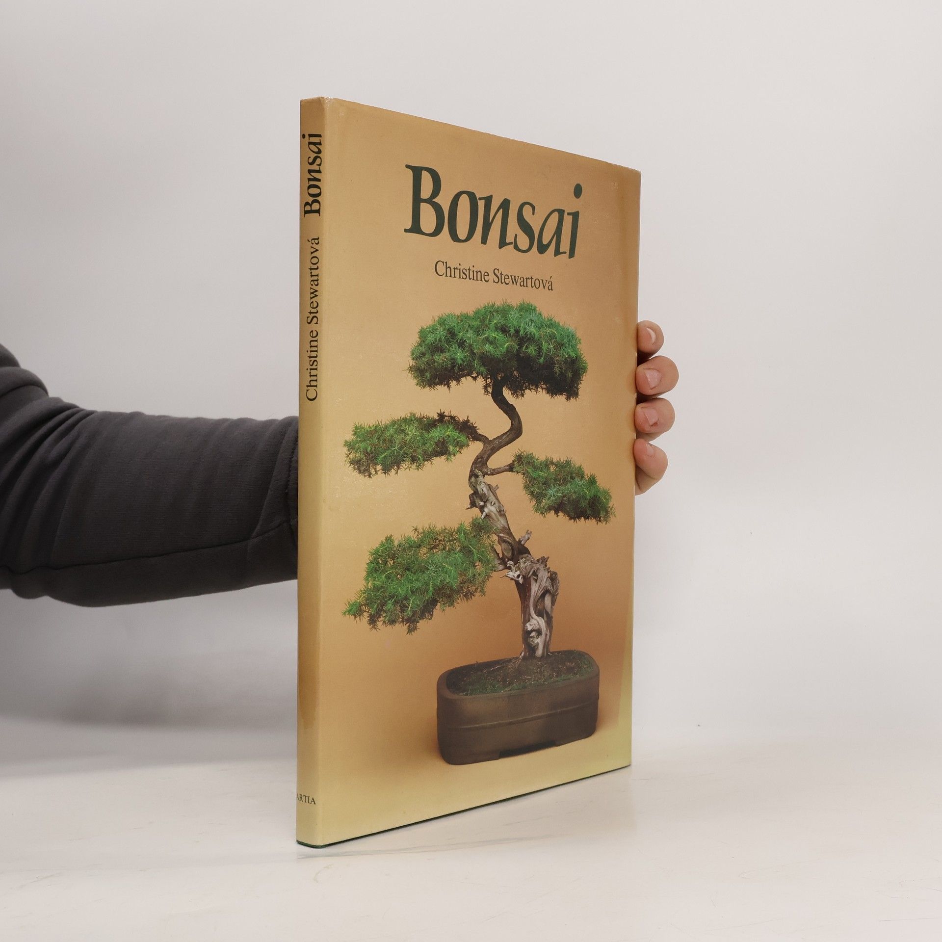 Christine Stewart Bonsai