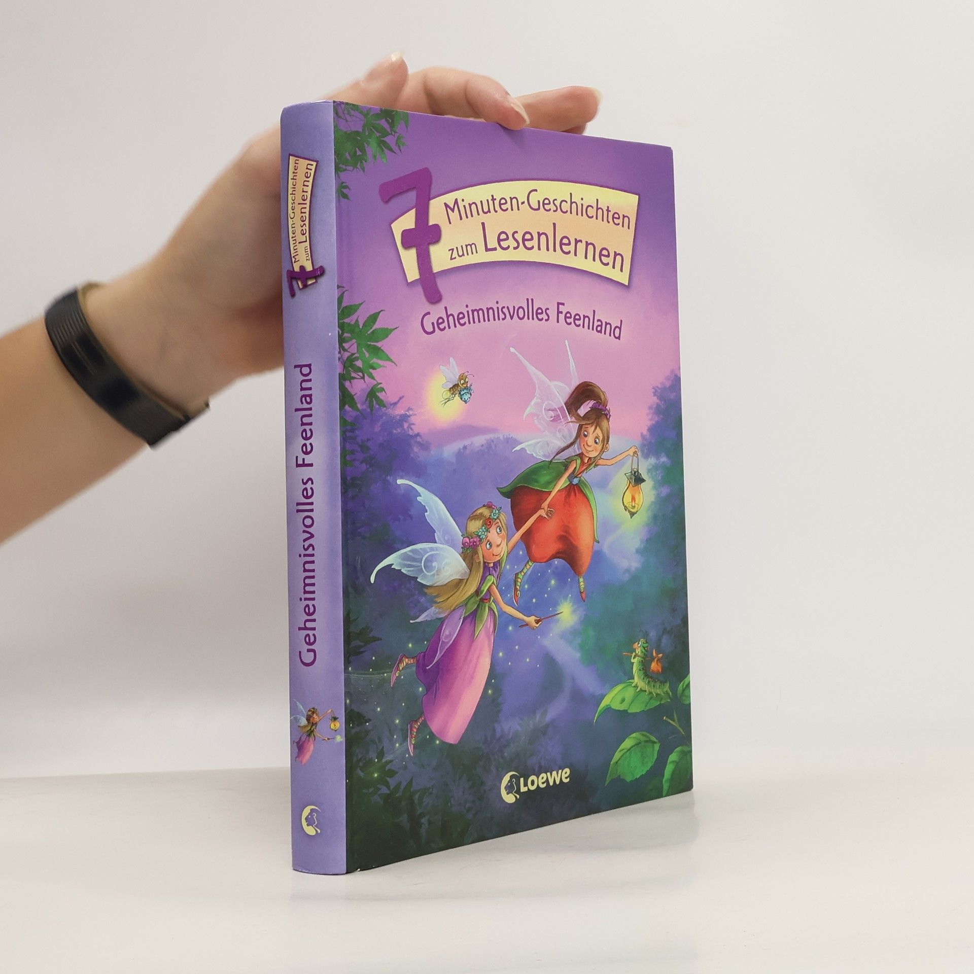 AA.VV. Geheimnisvolles Feenland