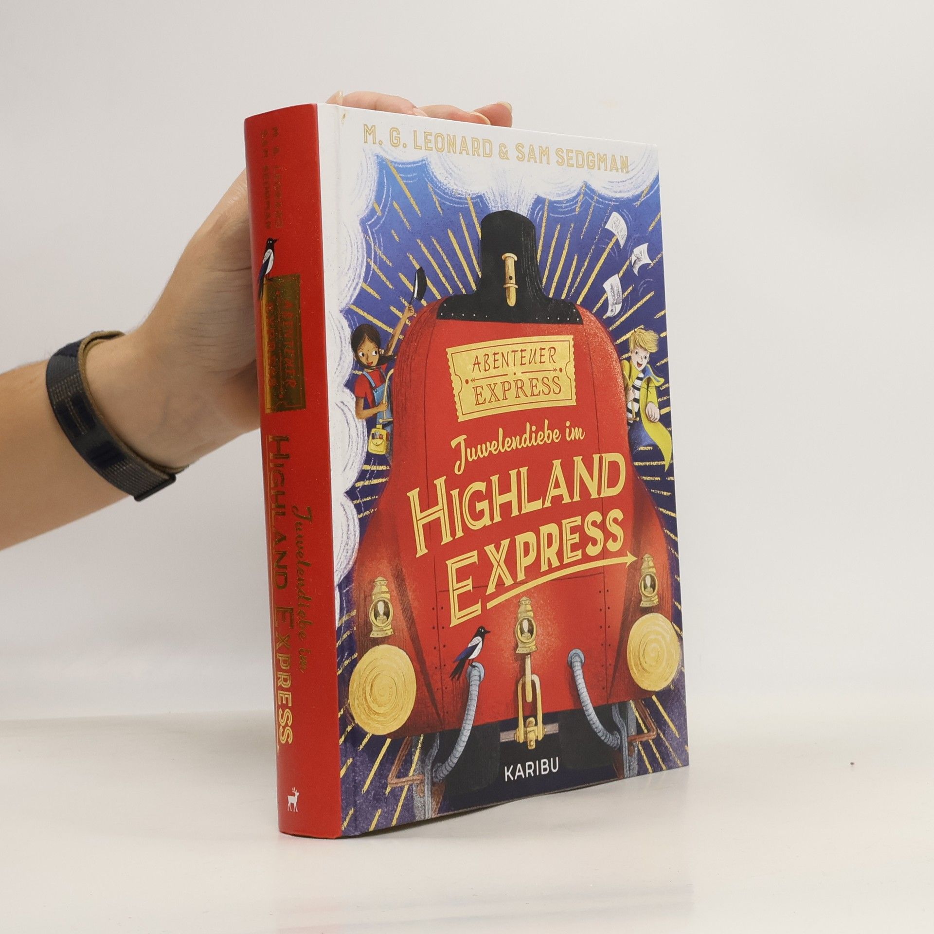 Maya G. Leonard Abenteuer-Express (Band 1) - Juwelendiebe im Highland Express