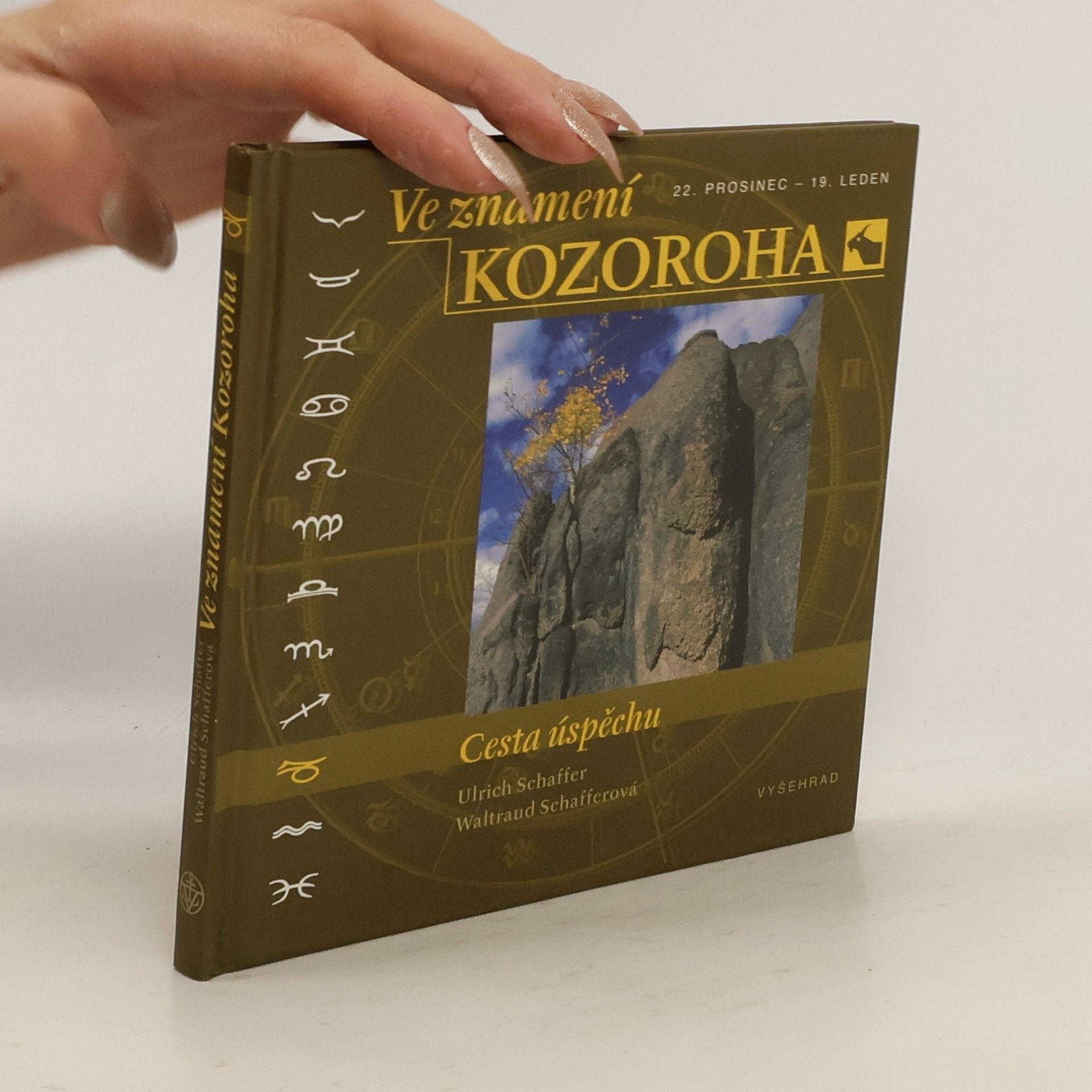 Ve znamení Kozoroha. Cesta úspěchu