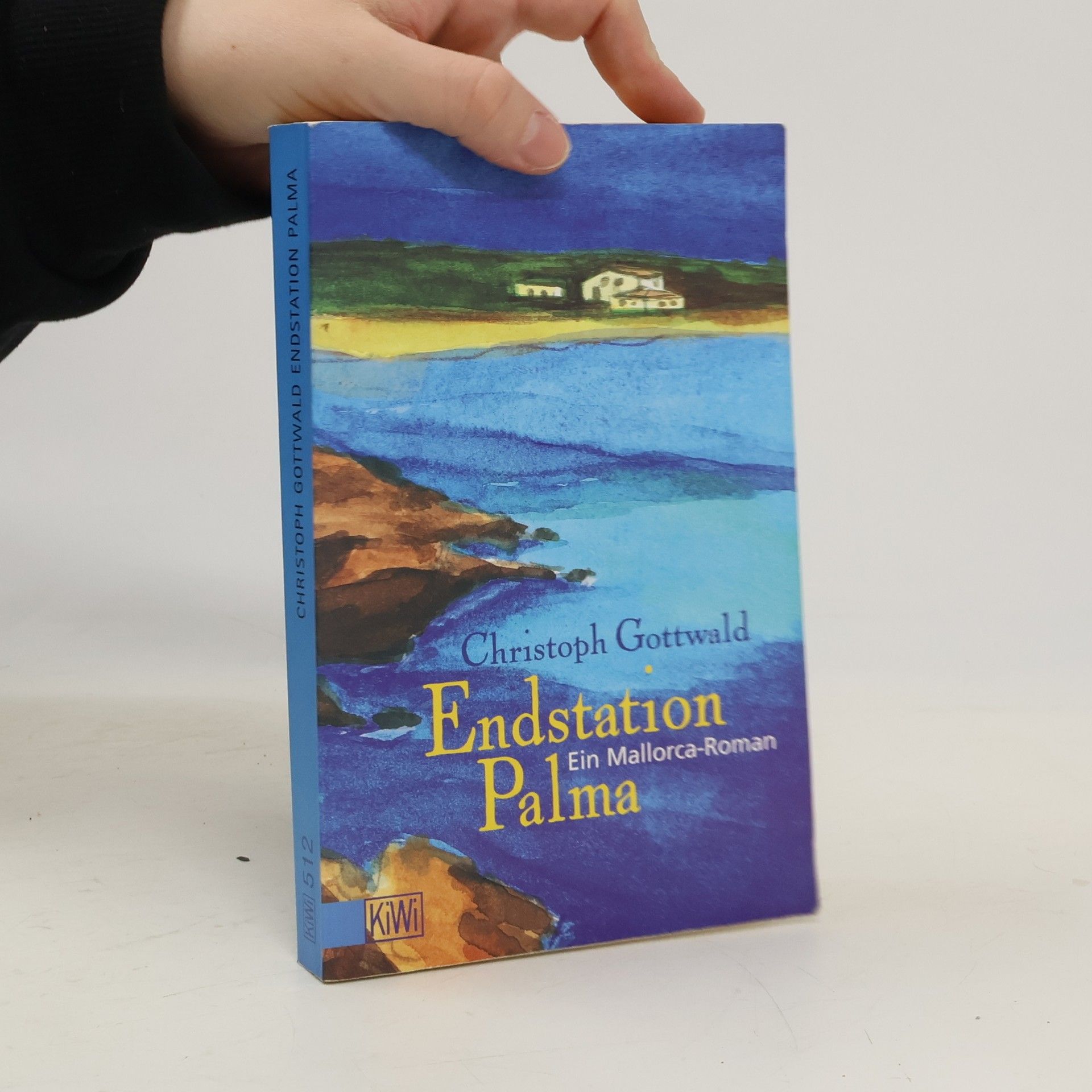 Christoph Gottwald Endstation Palma