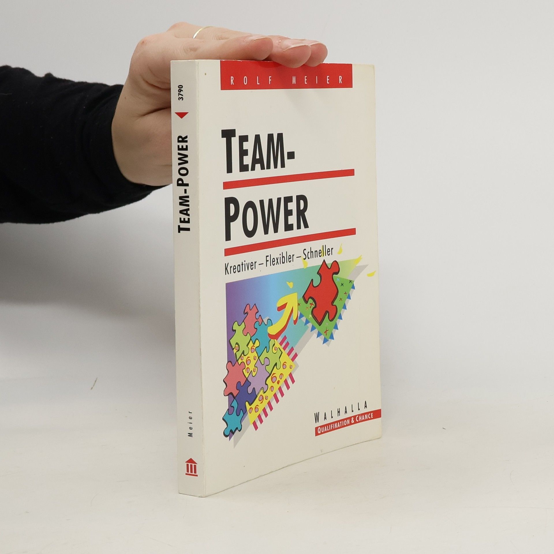 Rolf Meier Team-Power