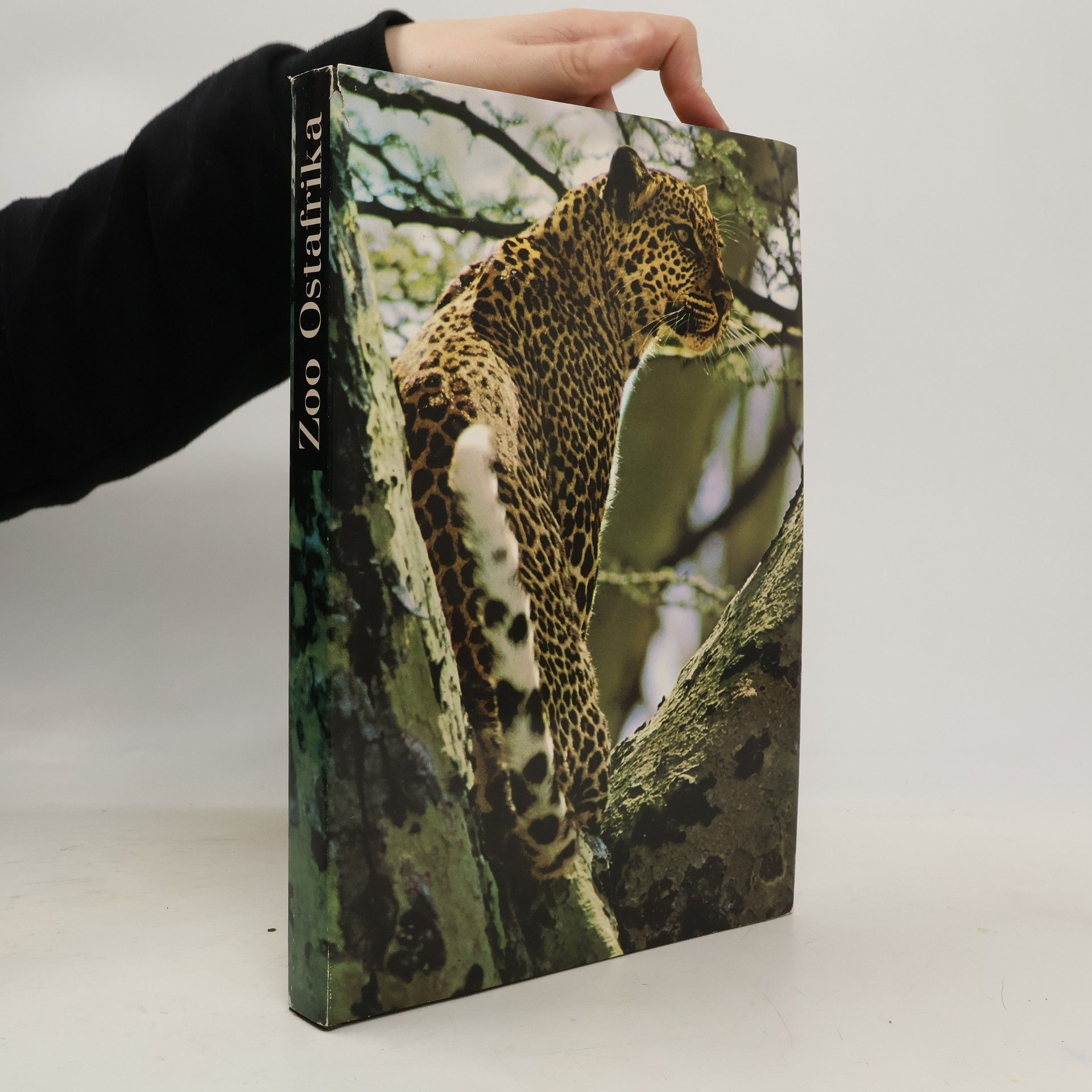 Collectif d'auteurs Zoo Oslafrika