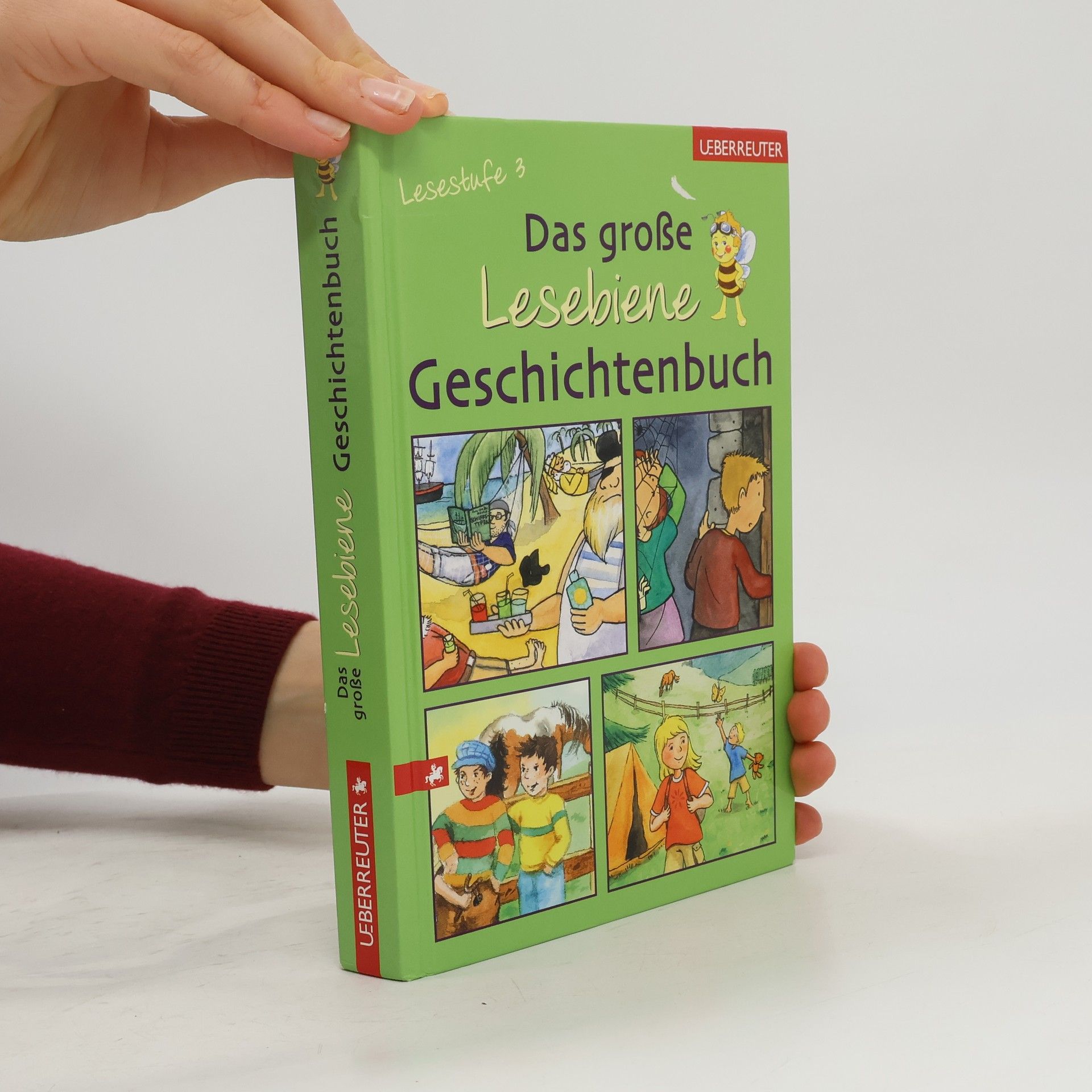 Collectif d'auteurs Das große Lesebiene-Geschichtenbuch. Lesestufe 3