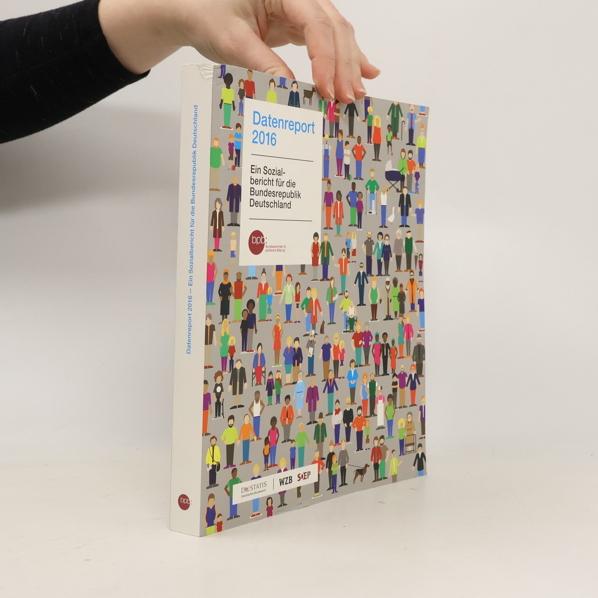 Collectif d'auteurs Datenreport 2016