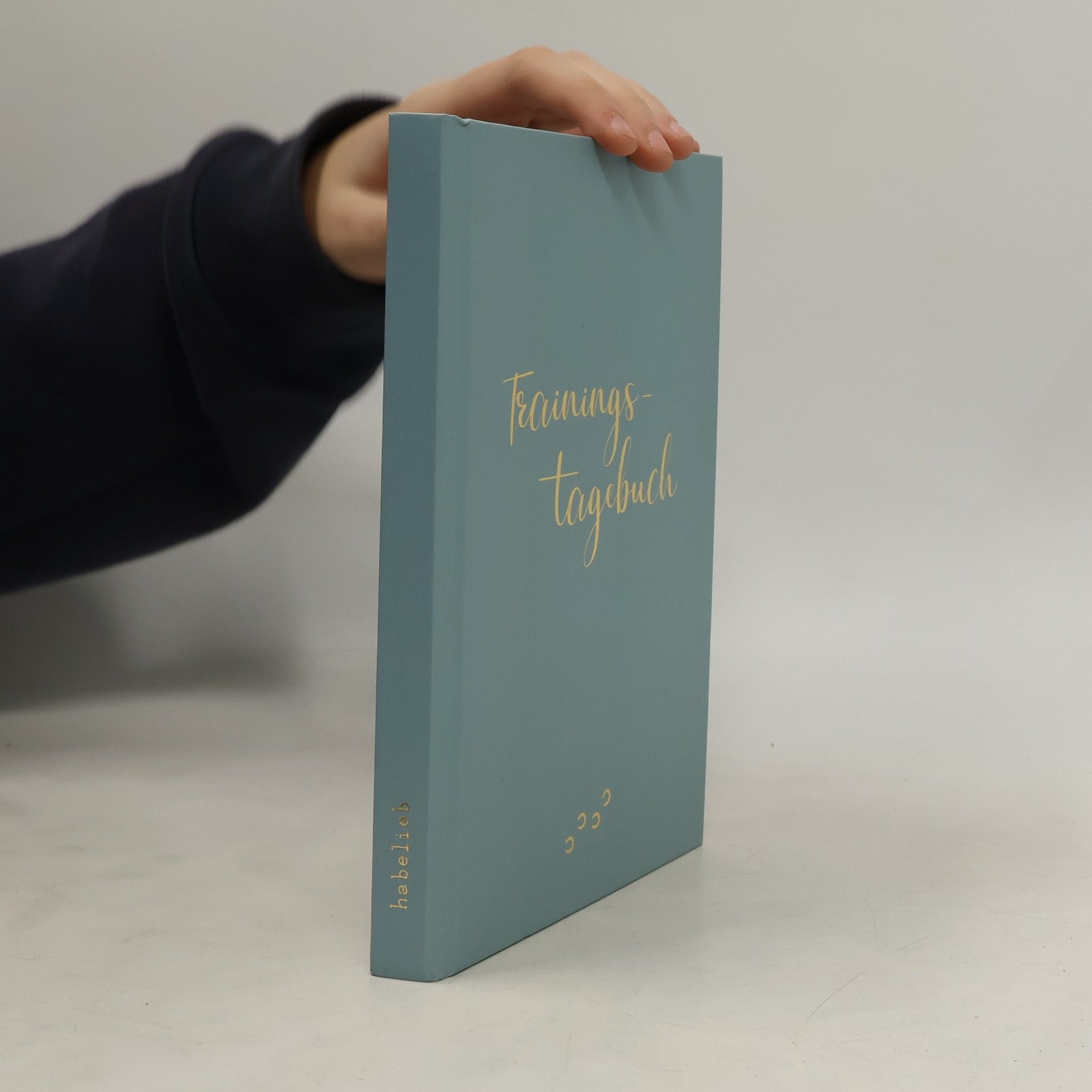 Collectif d'auteurs Trainings-Tagebuch