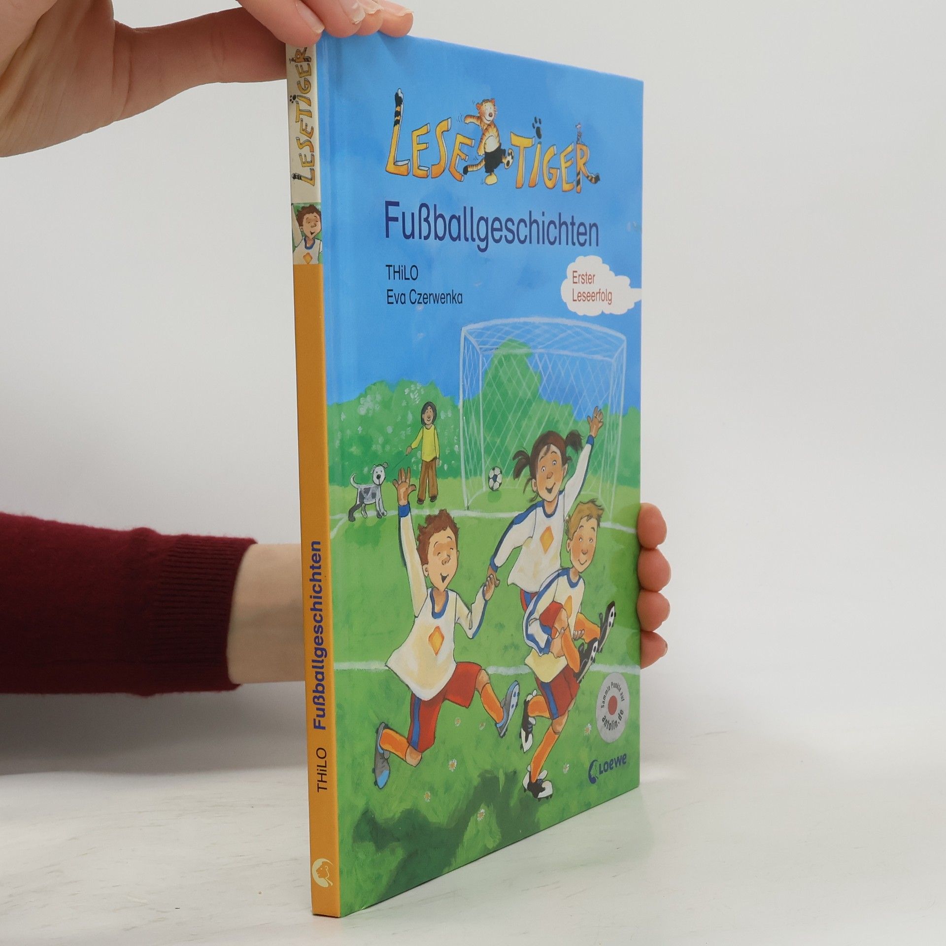 Thilo Kleine Lesetiger-Fußballgeschichten